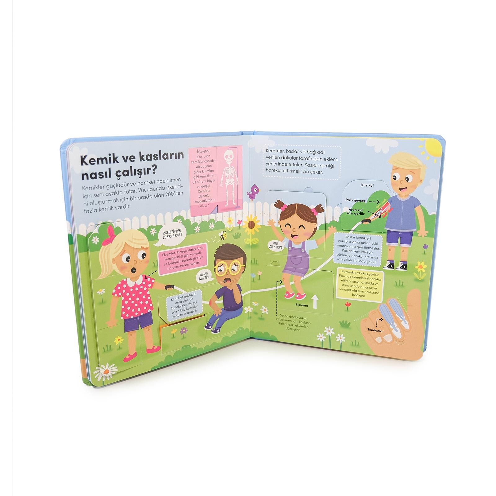 Keşif zamanı serisi- İnsan vücudu Keşif zamanı serisi- İnsan vücudu