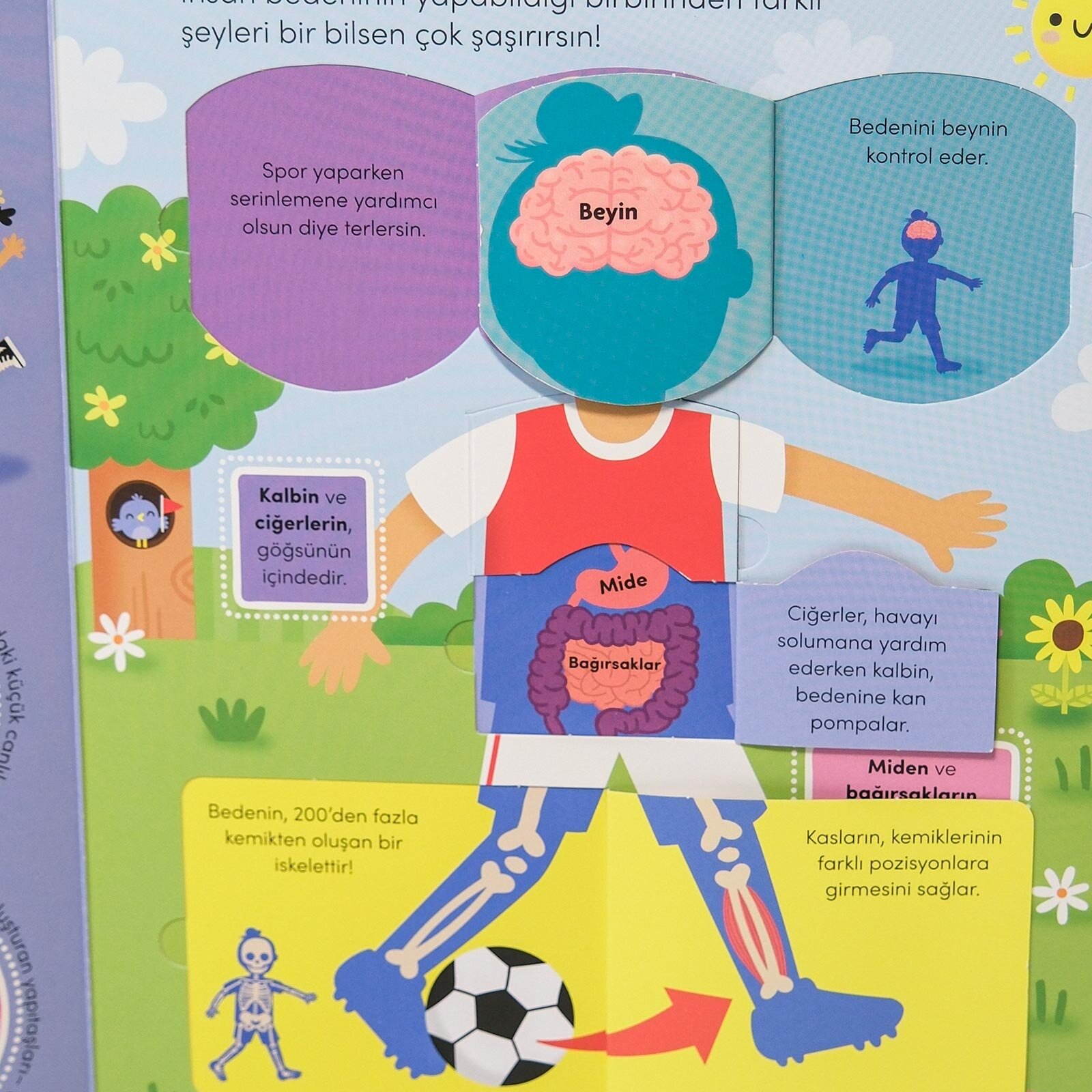 Keşif zamanı serisi- İnsan vücudu Keşif zamanı serisi- İnsan vücudu