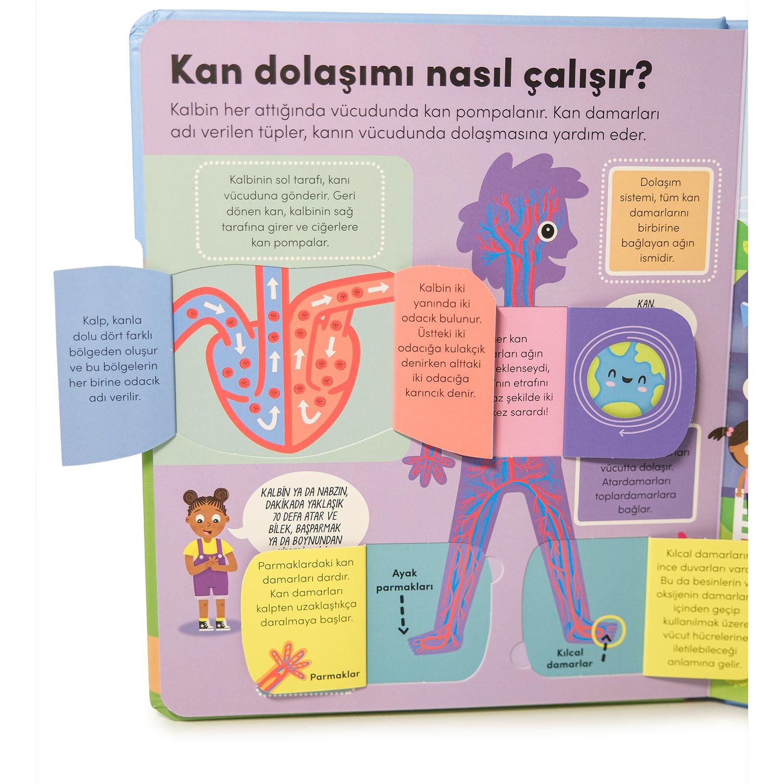 Keşif zamanı serisi- İnsan vücudu Keşif zamanı serisi- İnsan vücudu