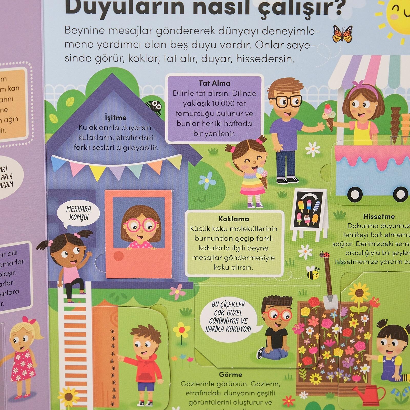 Keşif zamanı serisi- İnsan vücudu Keşif zamanı serisi- İnsan vücudu