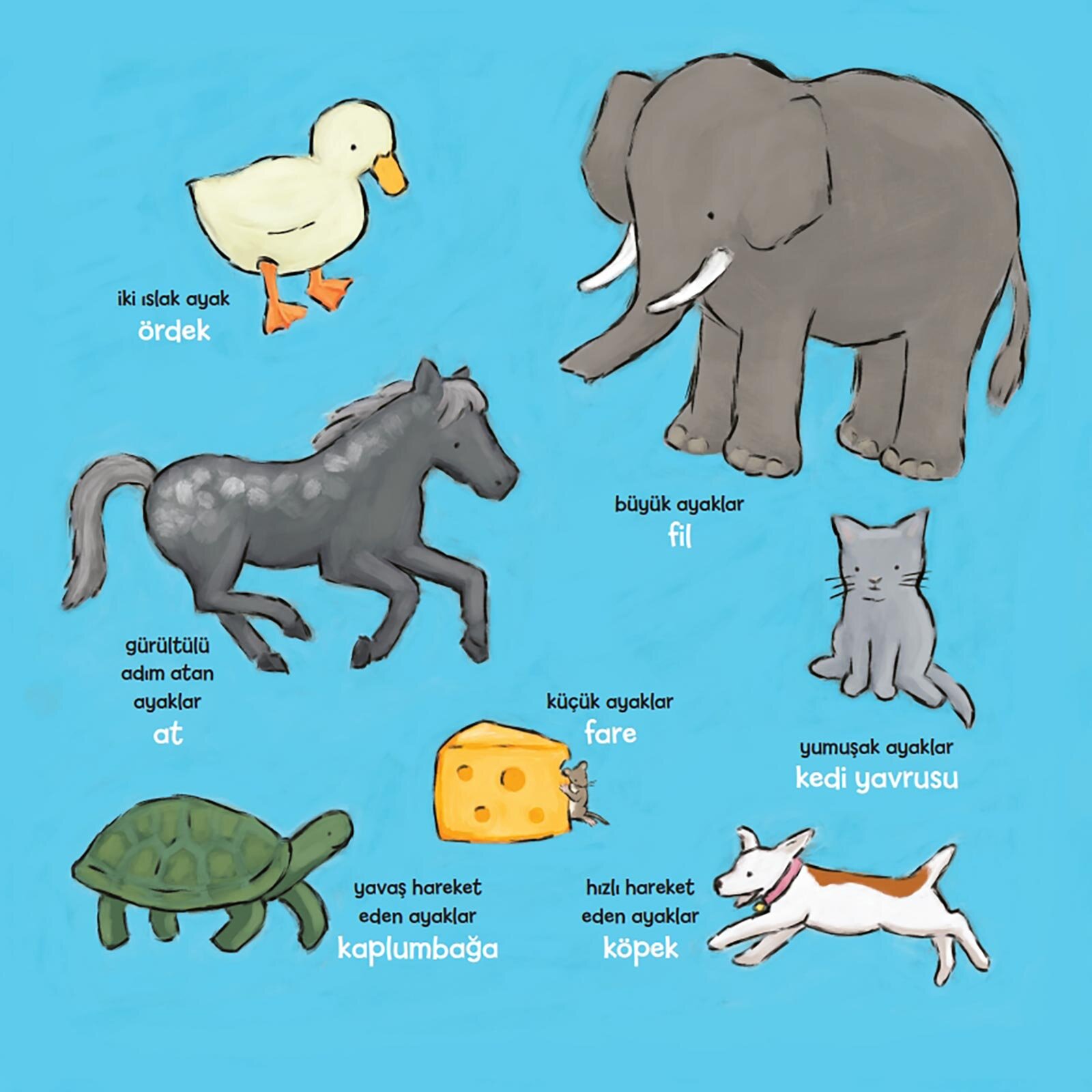 Kimin Bunlar-Kimin Ayakları ?