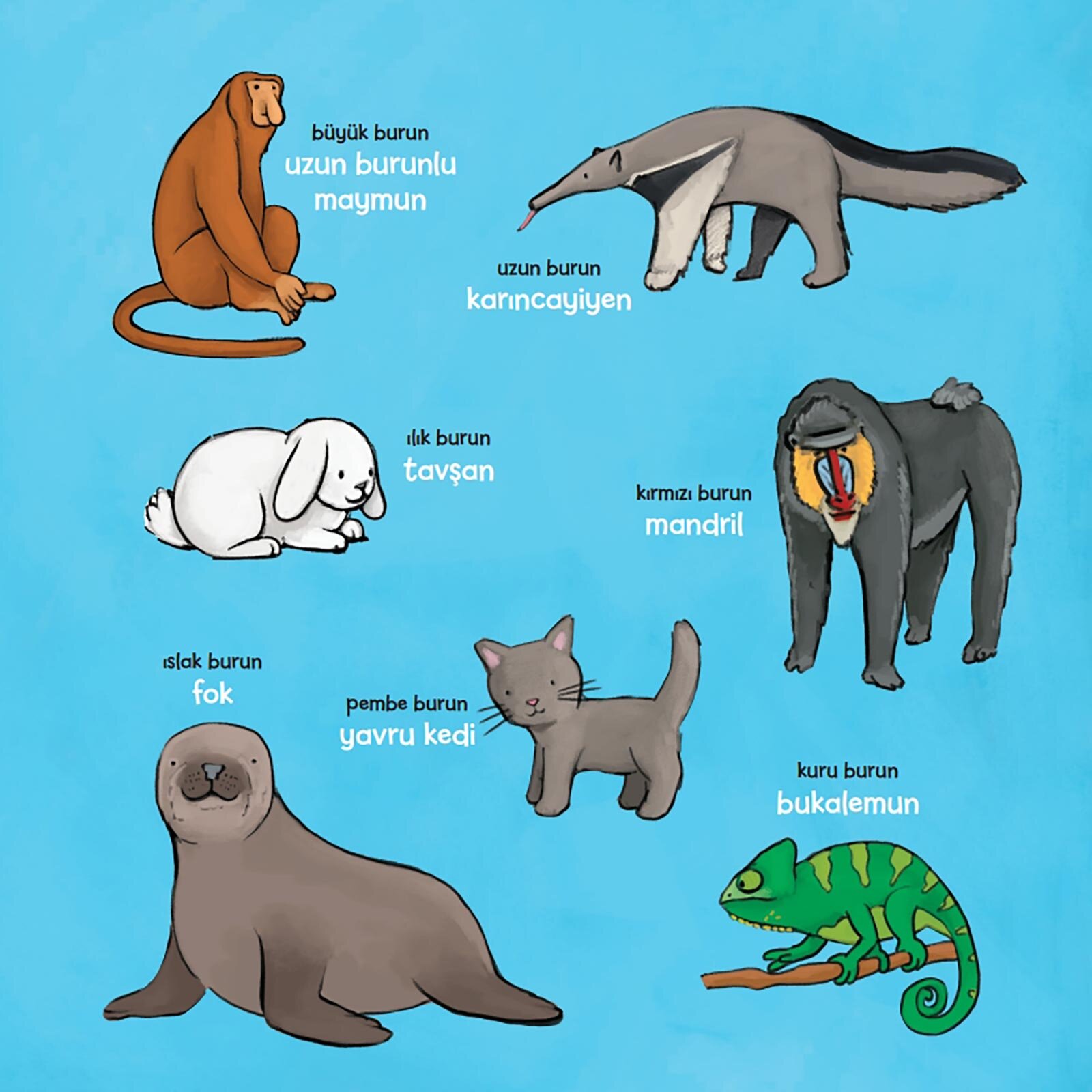 Kimin Bunlar-Kimin Burnu ?