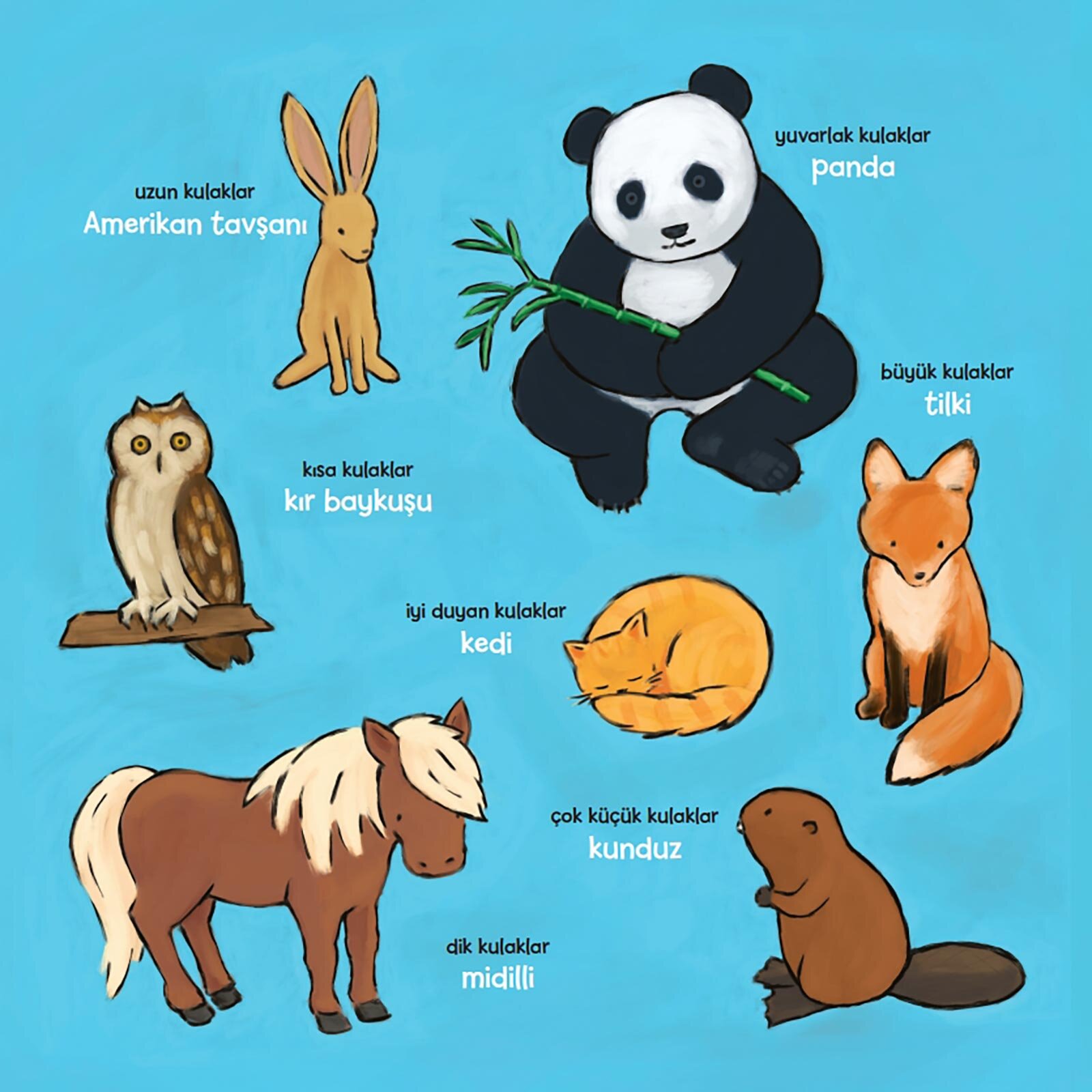 Kimin Bunlar-Kimin Kulakları ?