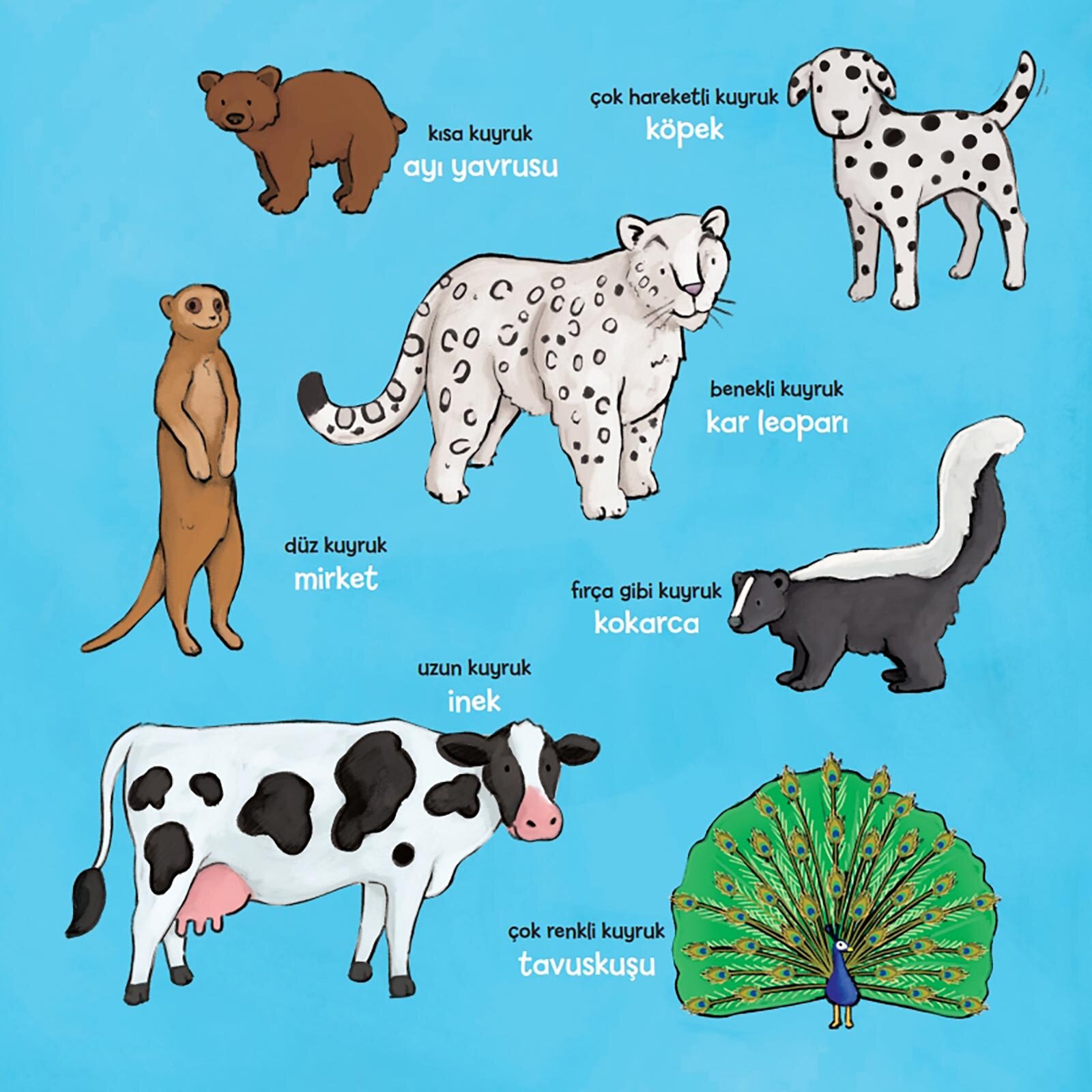 Kimin Bunlar-Kimin Kuyruğu ?