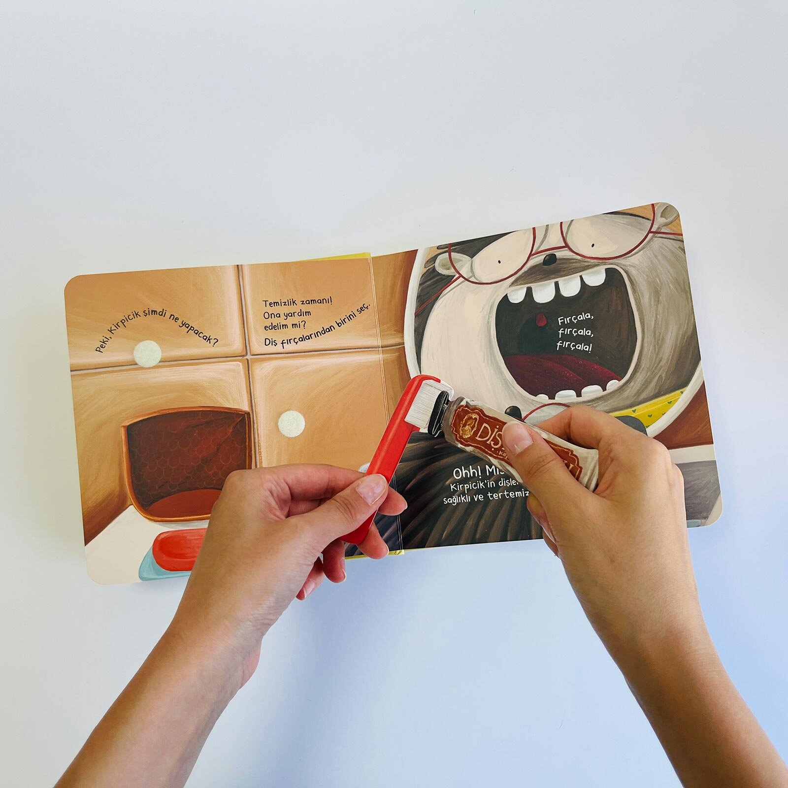 Kirpicik Peki Şimdi Ne Yapacak? Kahvaltı Zamanı Kirpicik Peki Şimdi Ne Yapacak? Kahvaltı Zamanı