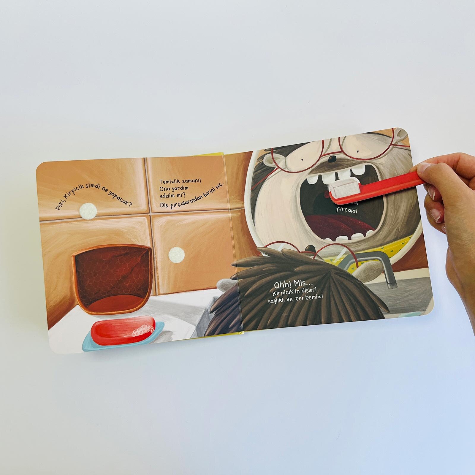 Kirpicik Peki Şimdi Ne Yapacak? Kahvaltı Zamanı Kirpicik Peki Şimdi Ne Yapacak? Kahvaltı Zamanı