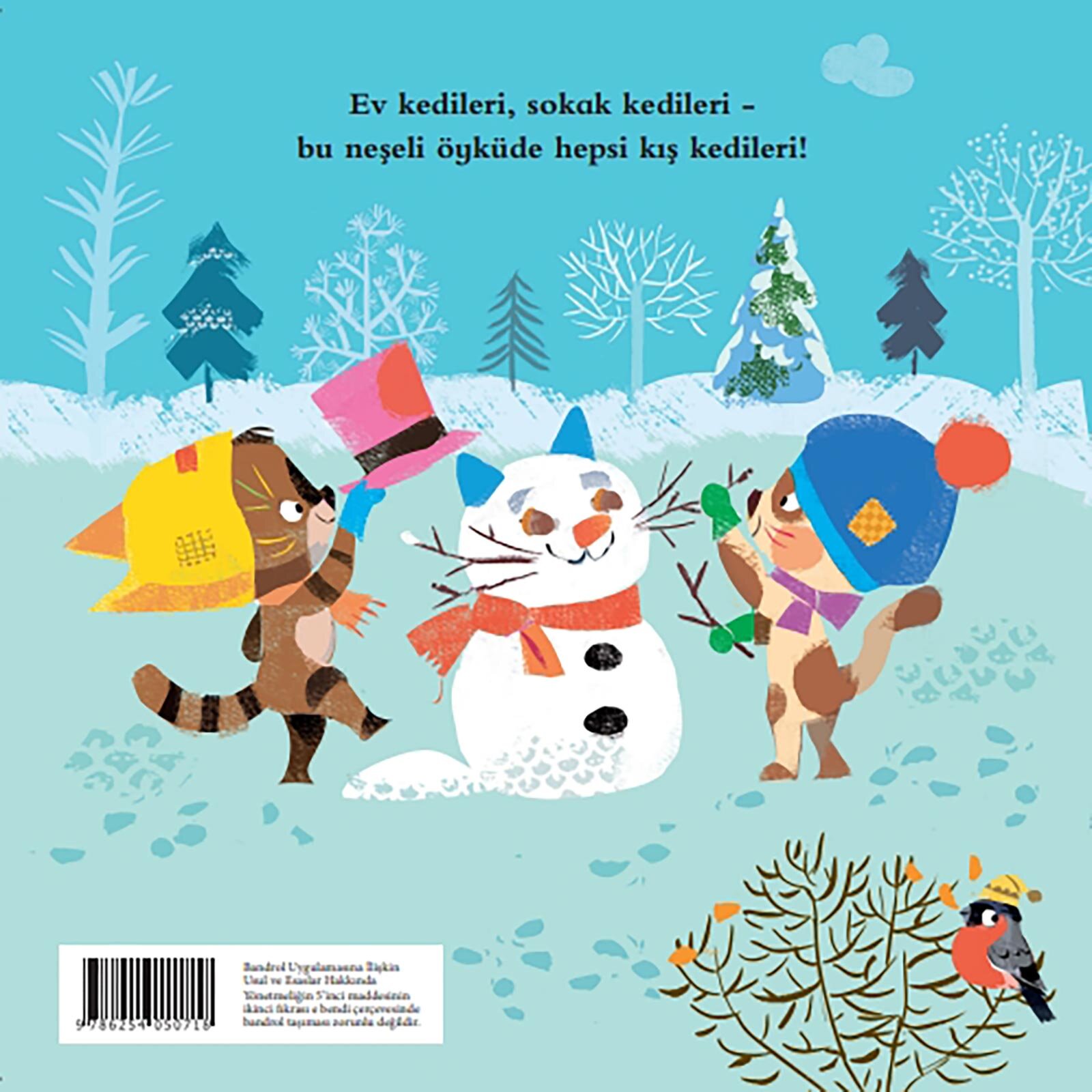 Kış Kedileri Kış Kedileri