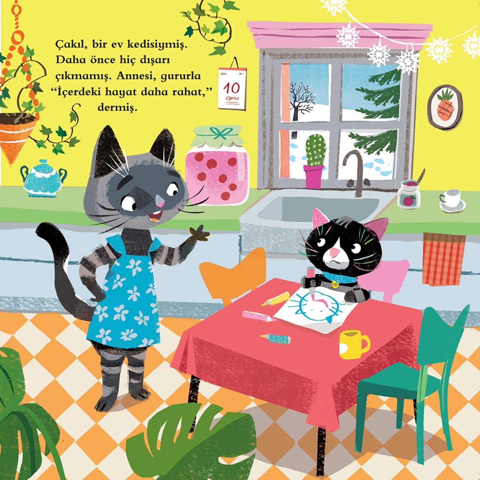 Kış Kedileri Kış Kedileri