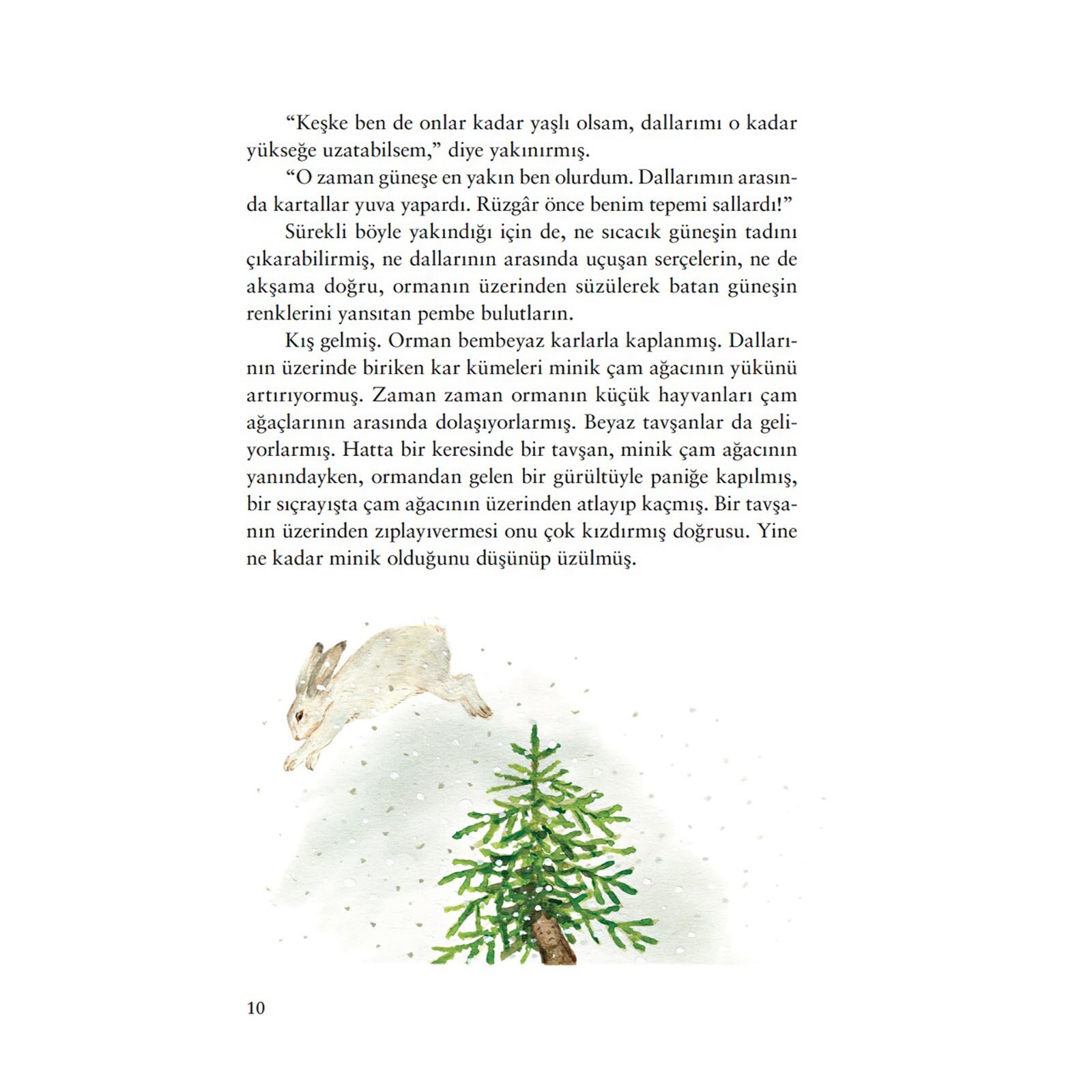 Kış Masalları Kış Masalları