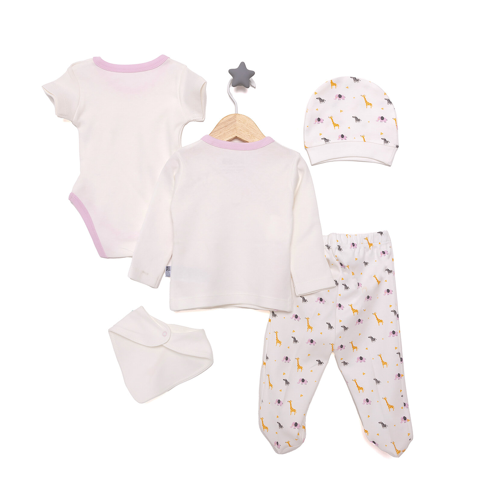 Kız 5li Kutulu Hastane Çıkışı Kız Bebek