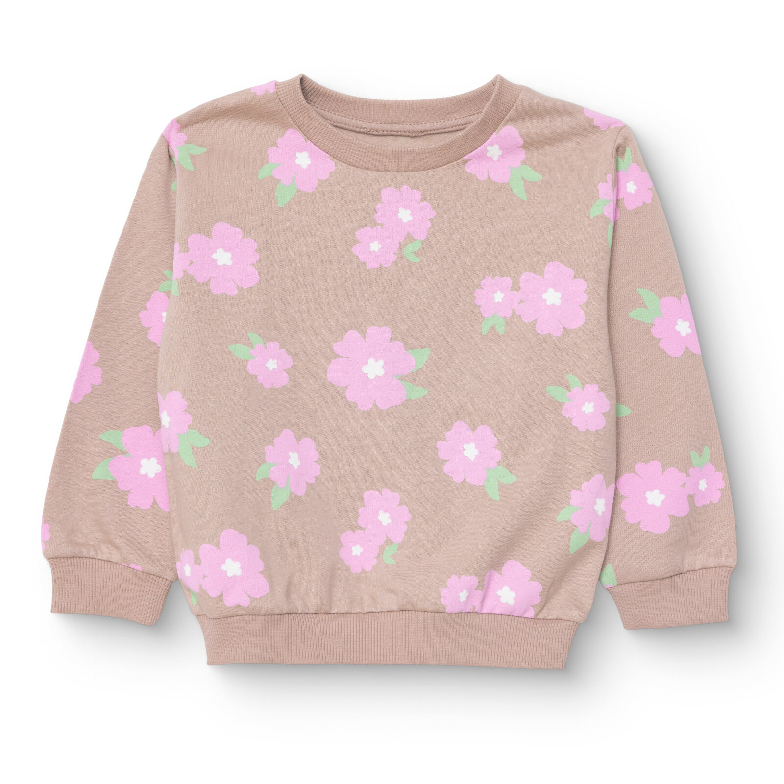 Kız Bebek Basic Sweatshirt Şardonlu Bisiklet Yaka Uzun Kol