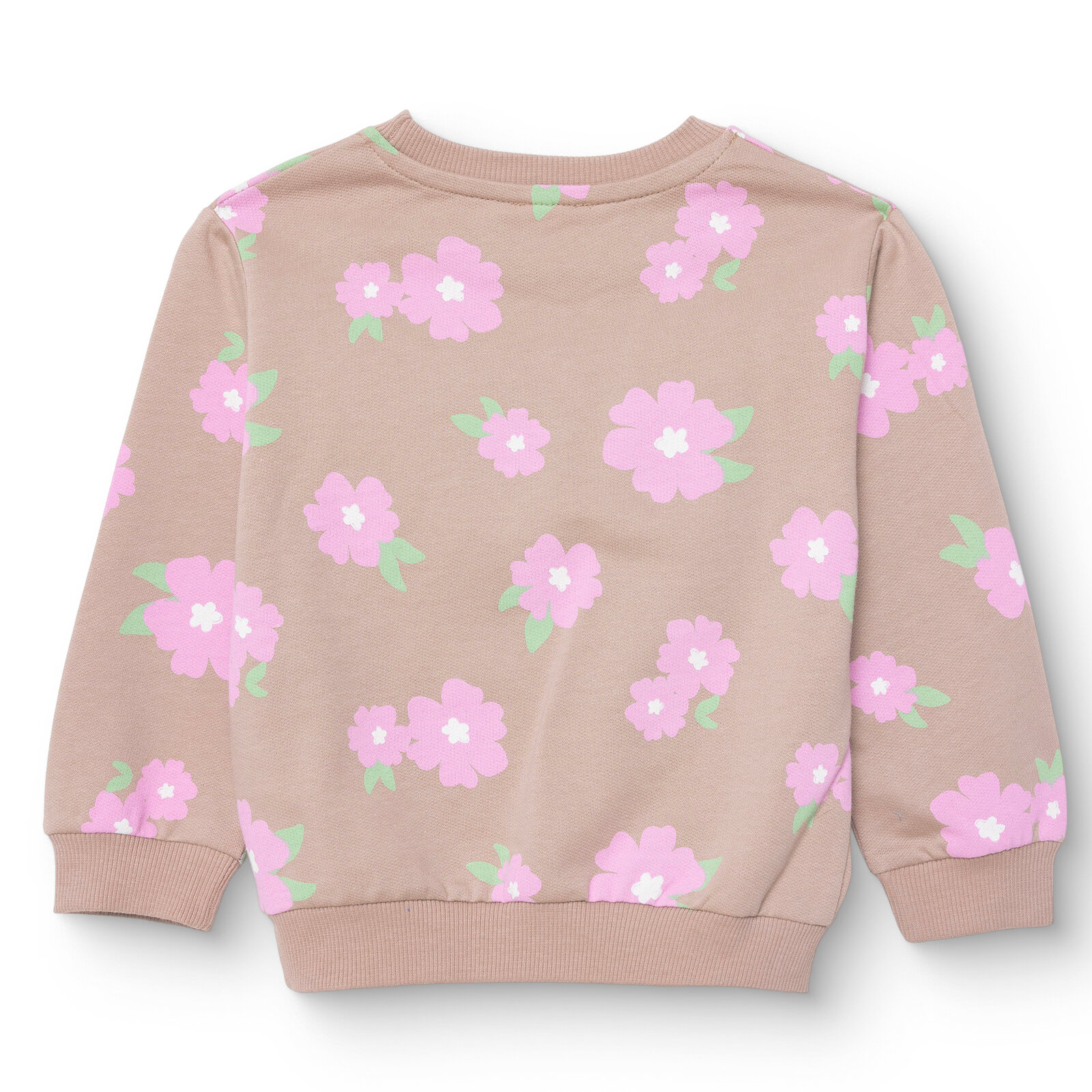 Kız Bebek Basic Sweatshirt Şardonlu Bisiklet Yaka Uzun Kol