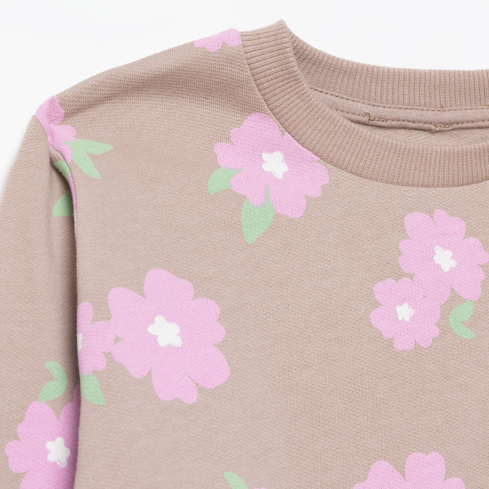 Kız Bebek Basic Sweatshirt Şardonlu Bisiklet Yaka Uzun Kol