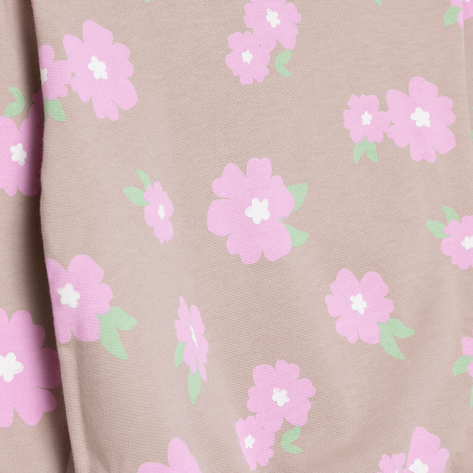 Kız Bebek Basic Sweatshirt Şardonlu Bisiklet Yaka Uzun Kol