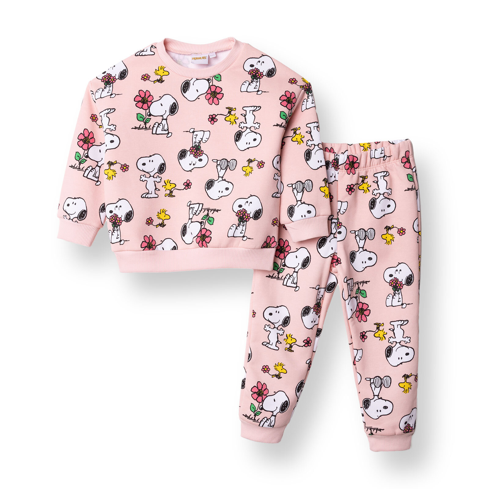 Kız Bebek Eşofman Takımı Üç İplik Bisiklet Yaka Uzun Kol Ribanalı Paça