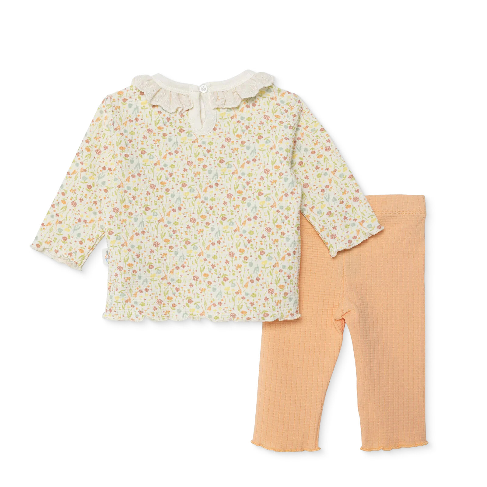 , Yenidoğan, House Of Birds, Swea , Yenidoğan, House Of Birds, Swea