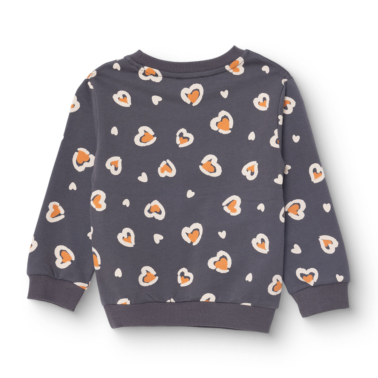 Kız Bebek Sweatshirt Şardonlu Bisiklet Yaka Uzun Kol Kız Bebek Sweatshirt Şardonlu Bisiklet Yaka Uzun Kol