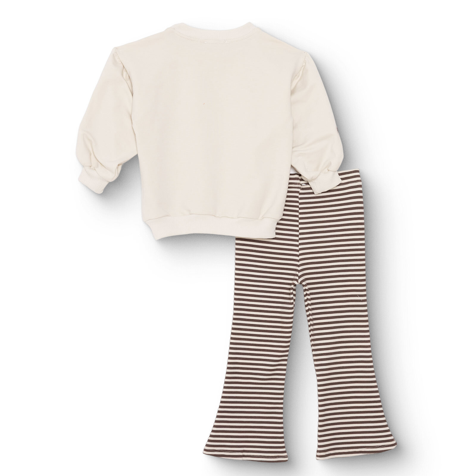 Teddy Bear Sweatshirt - Tayt