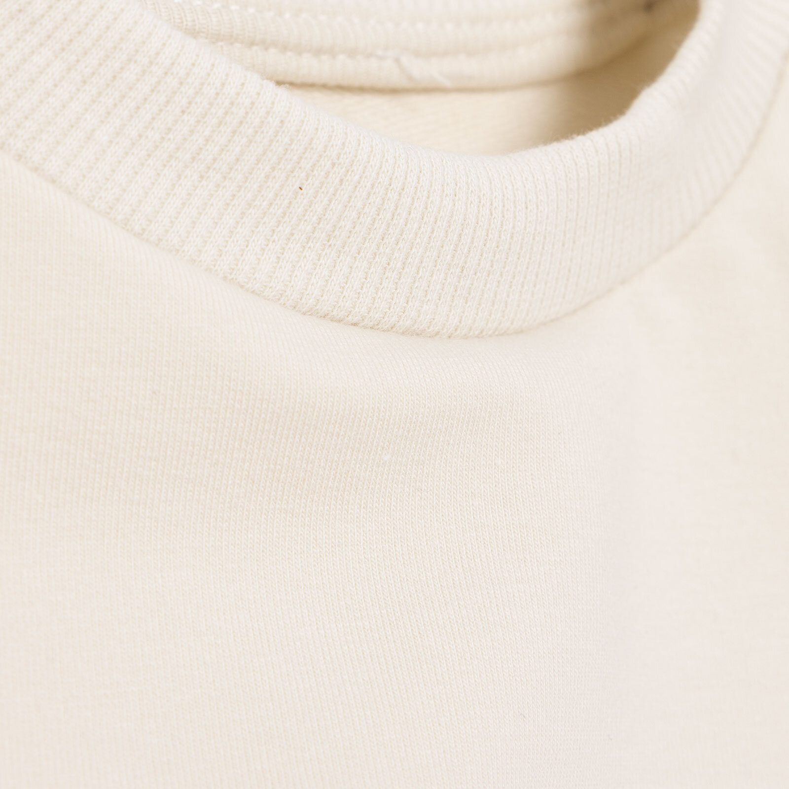 Teddy Bear Sweatshirt - Tayt