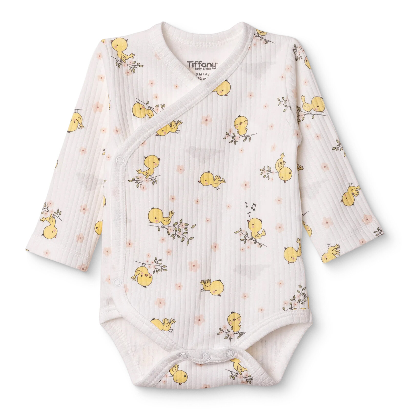 Kız Bebek Zıbın Body İnterlok V Yaka Uzun Kol