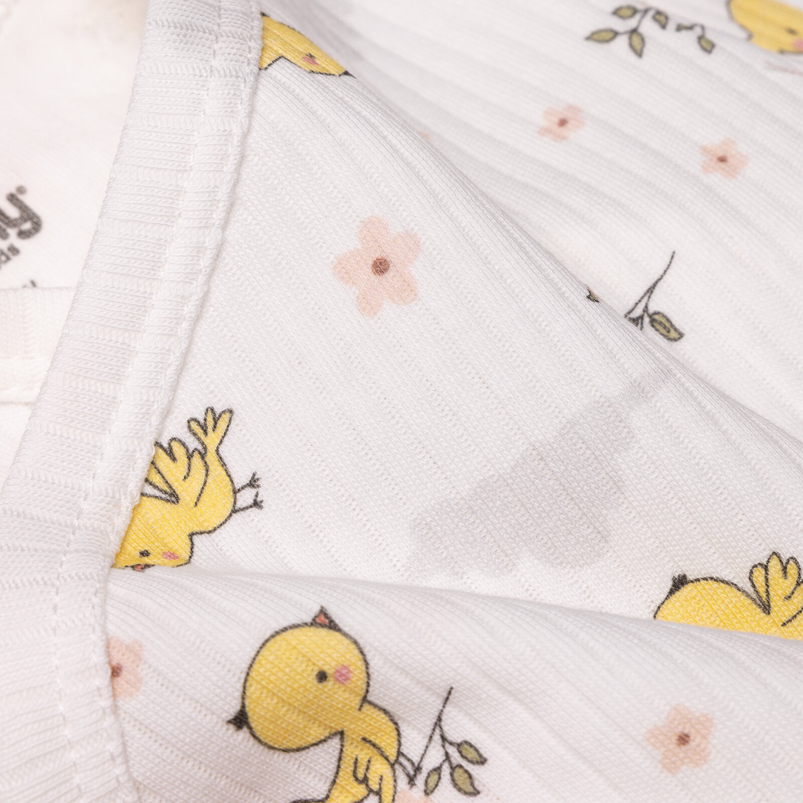 Kız Bebek Zıbın Body İnterlok V Yaka Uzun Kol