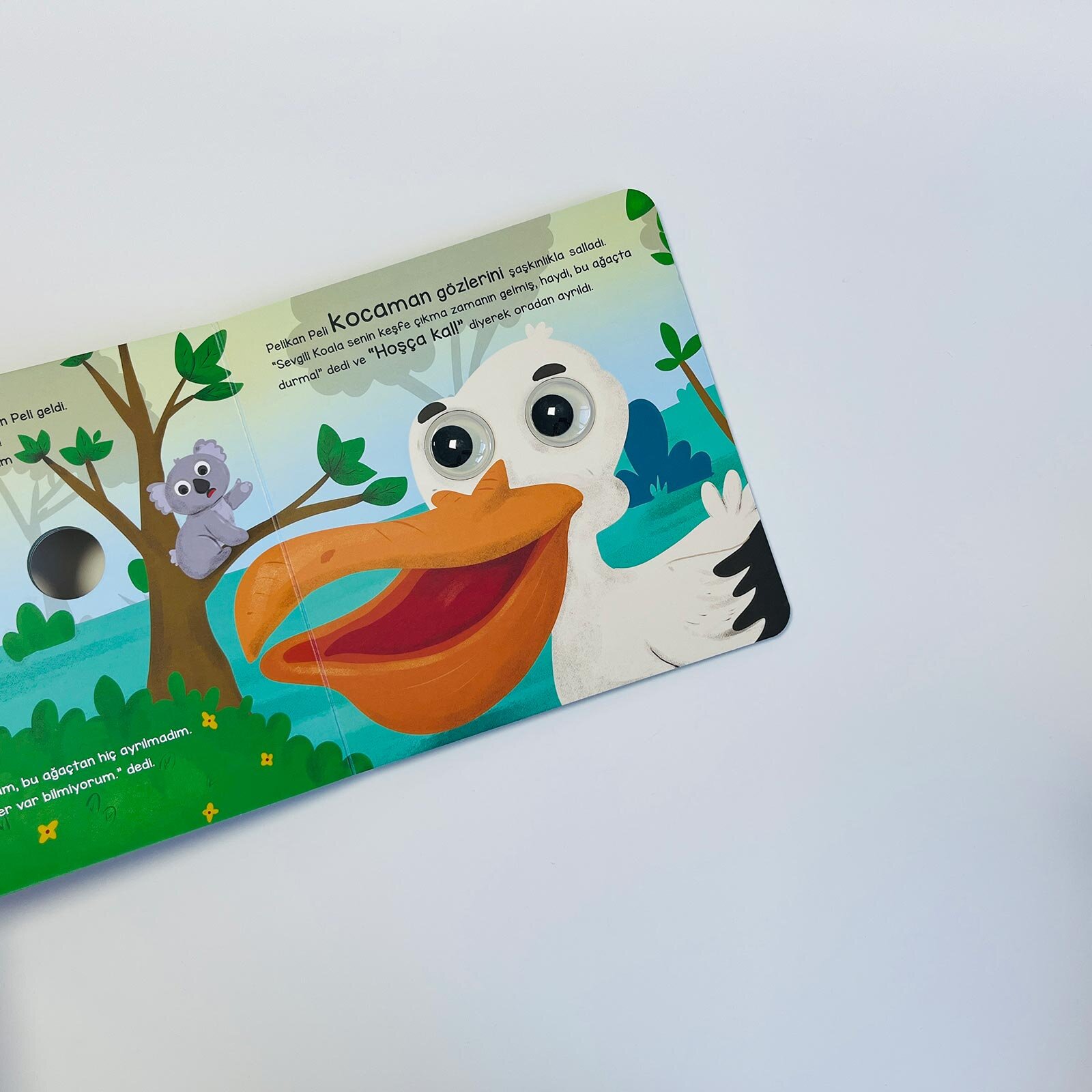 Koala Kori ve Sevimli Dostları - Bu Kocaman Gözler Kimin?6