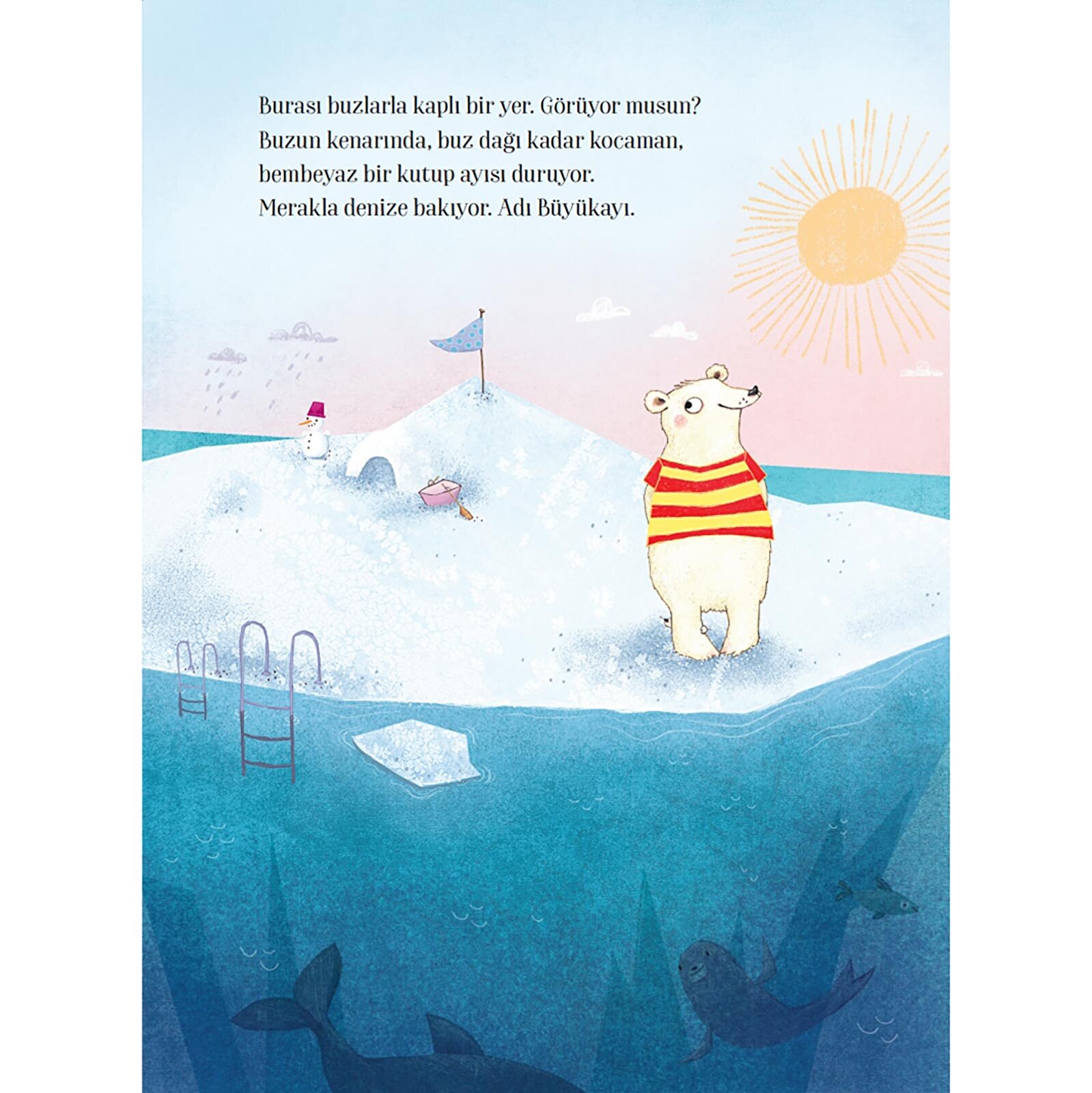 Kocaman Küçük Ayı