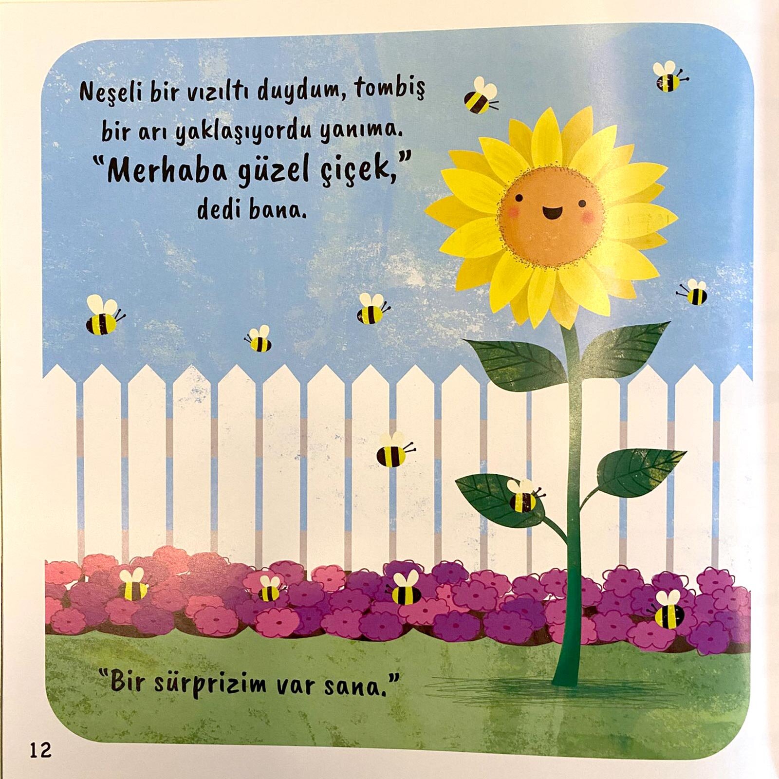 Küçük Ayçiçeği