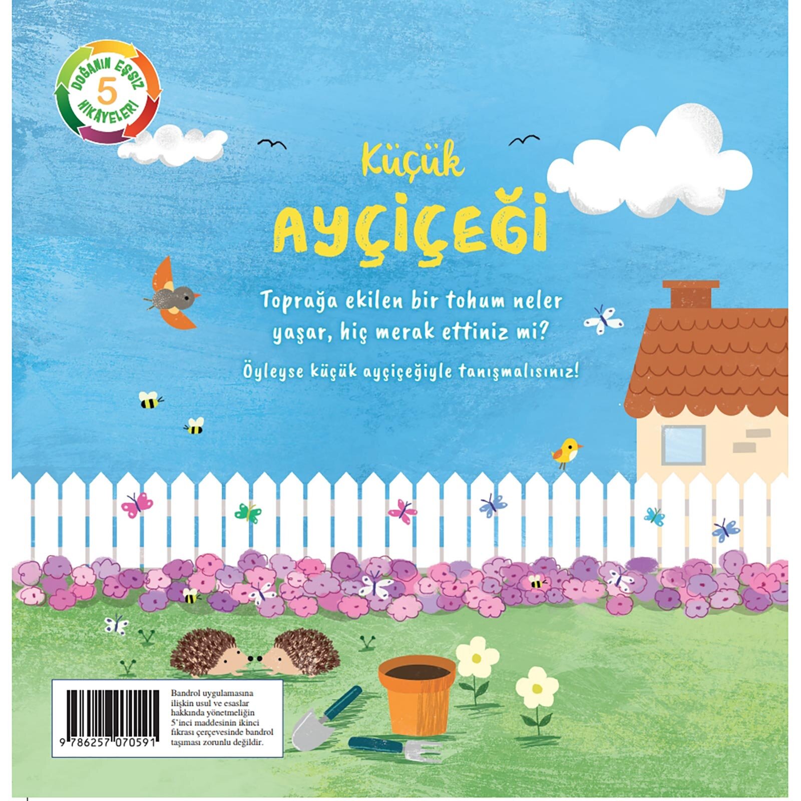 Küçük Ayçiçeği