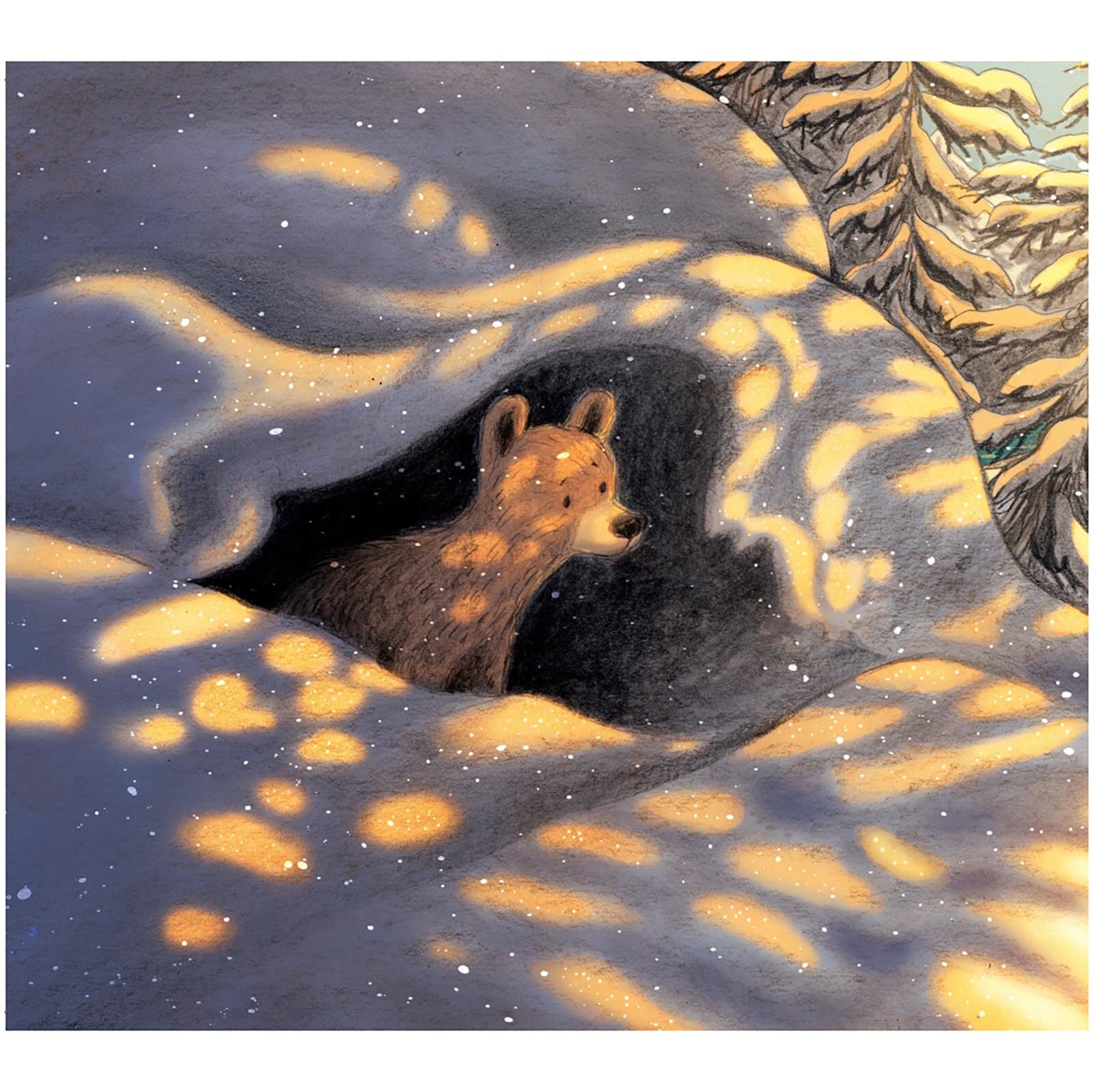 Küçük Ayının İlkbaharı