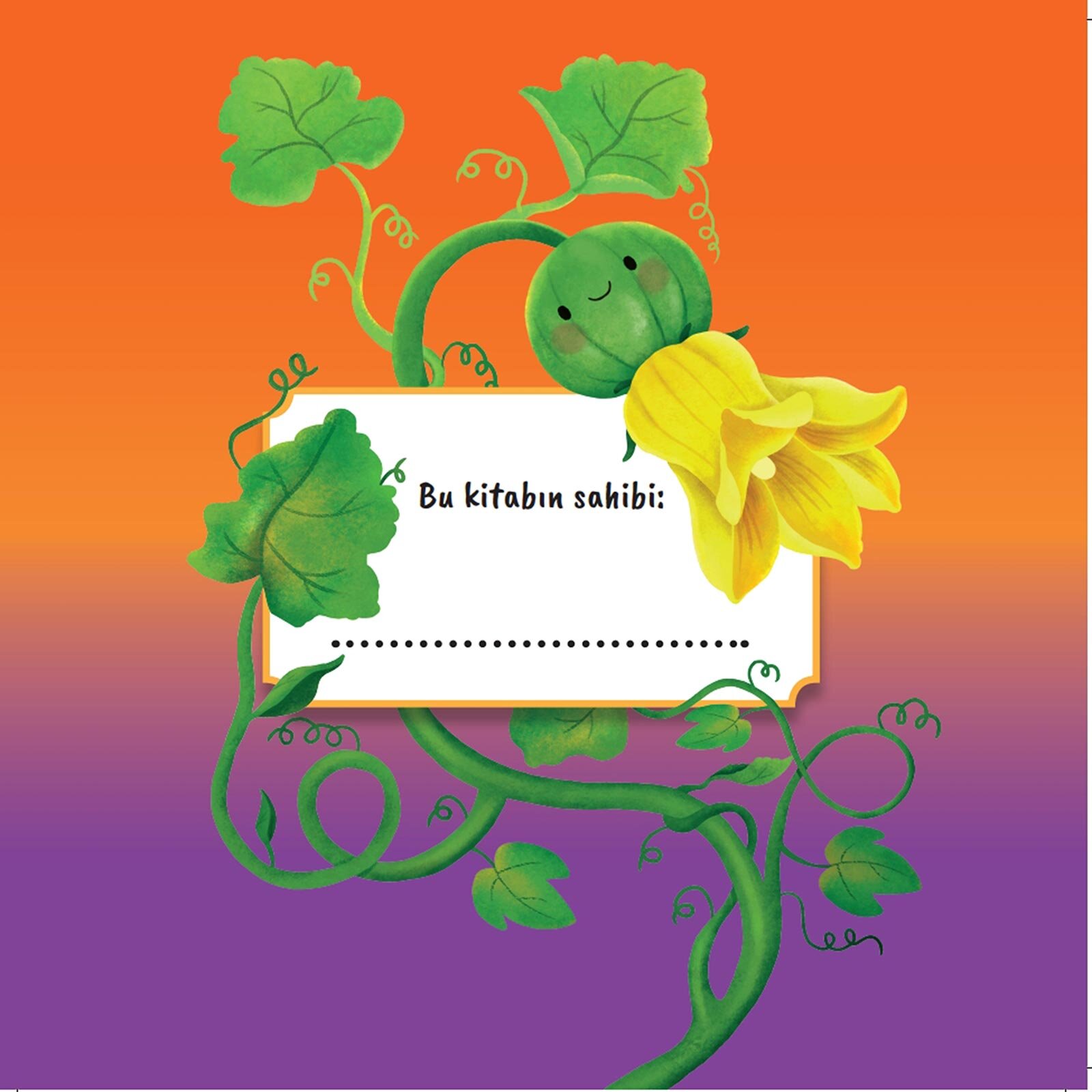 Küçük Bal Kabağı