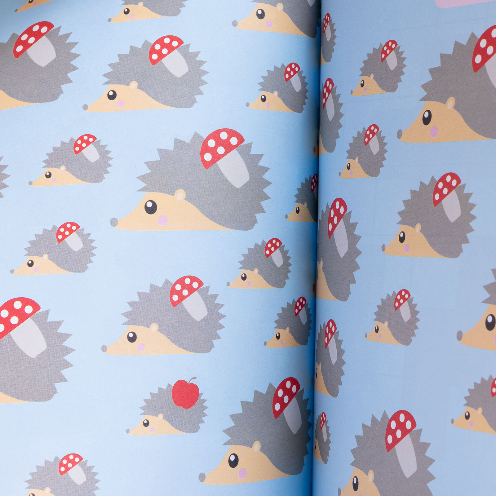 Küçük Dahiler Dikkat Geliştirme 1 – 6+ Yaş (Pedagog Onaylı)