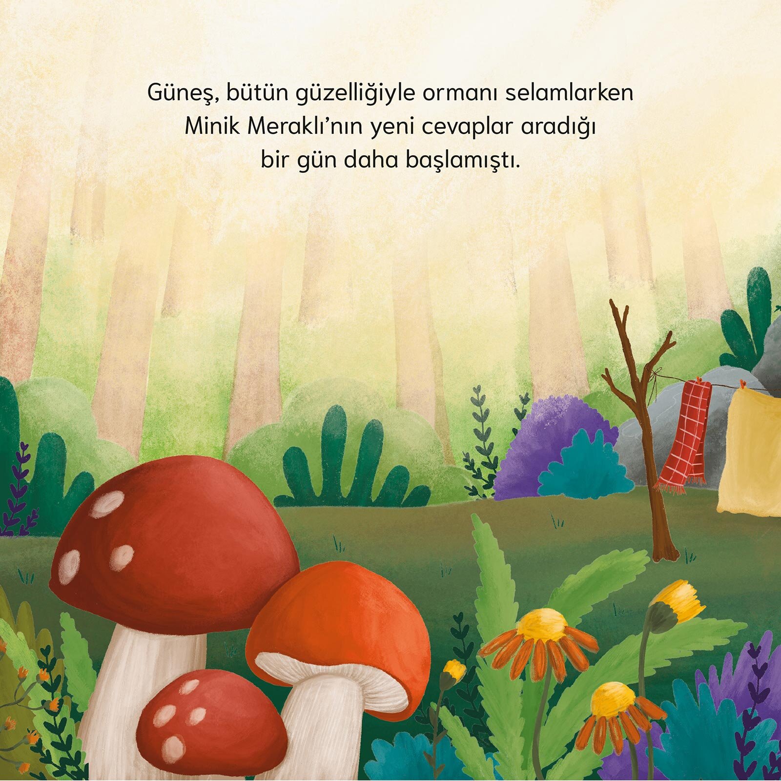 Küçük Dinozorun Büyük Soruları Küçük Dinozorun Büyük Soruları