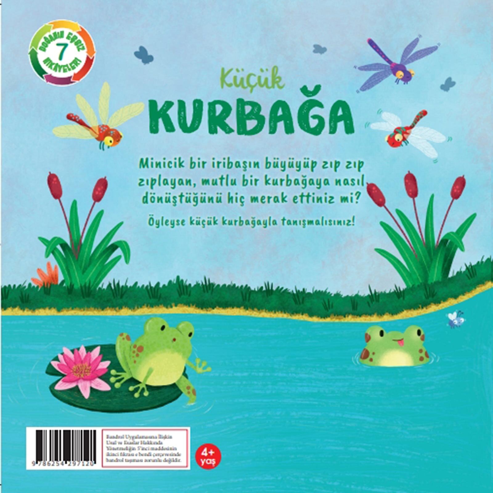 Küçük Kaplumbağa