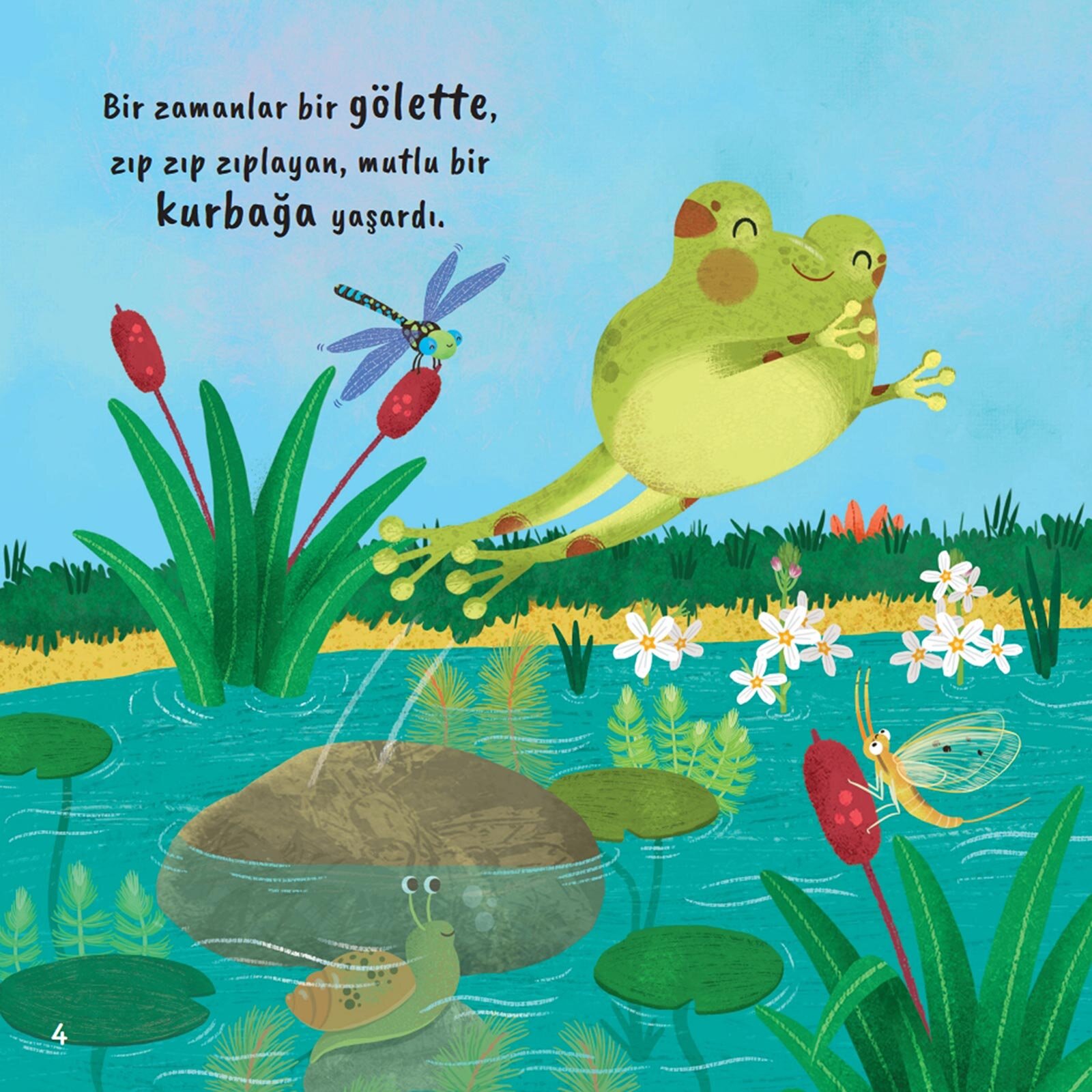 Küçük Kaplumbağa