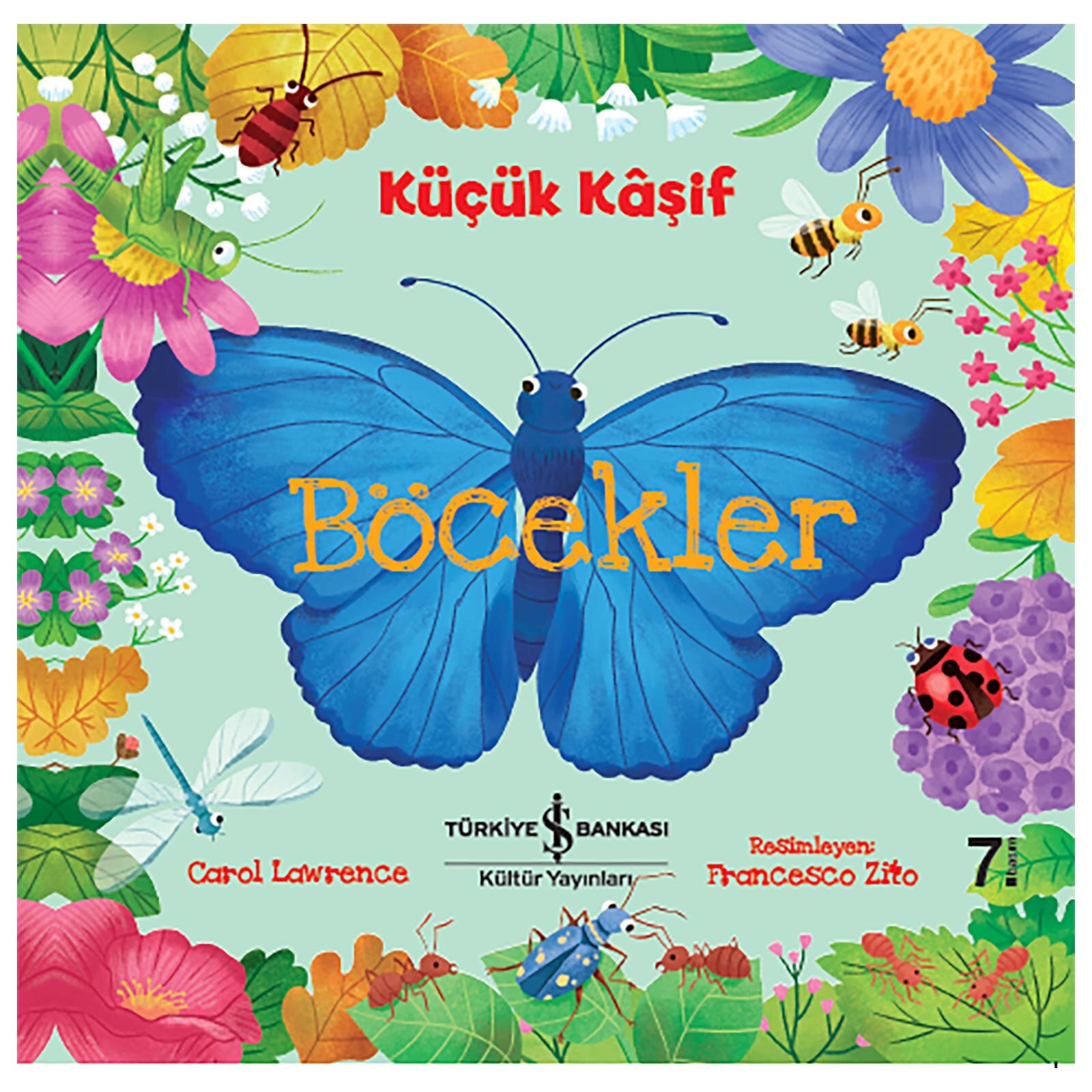 Küçük Kaşif- Böcekler Küçük Kaşif- Böcekler