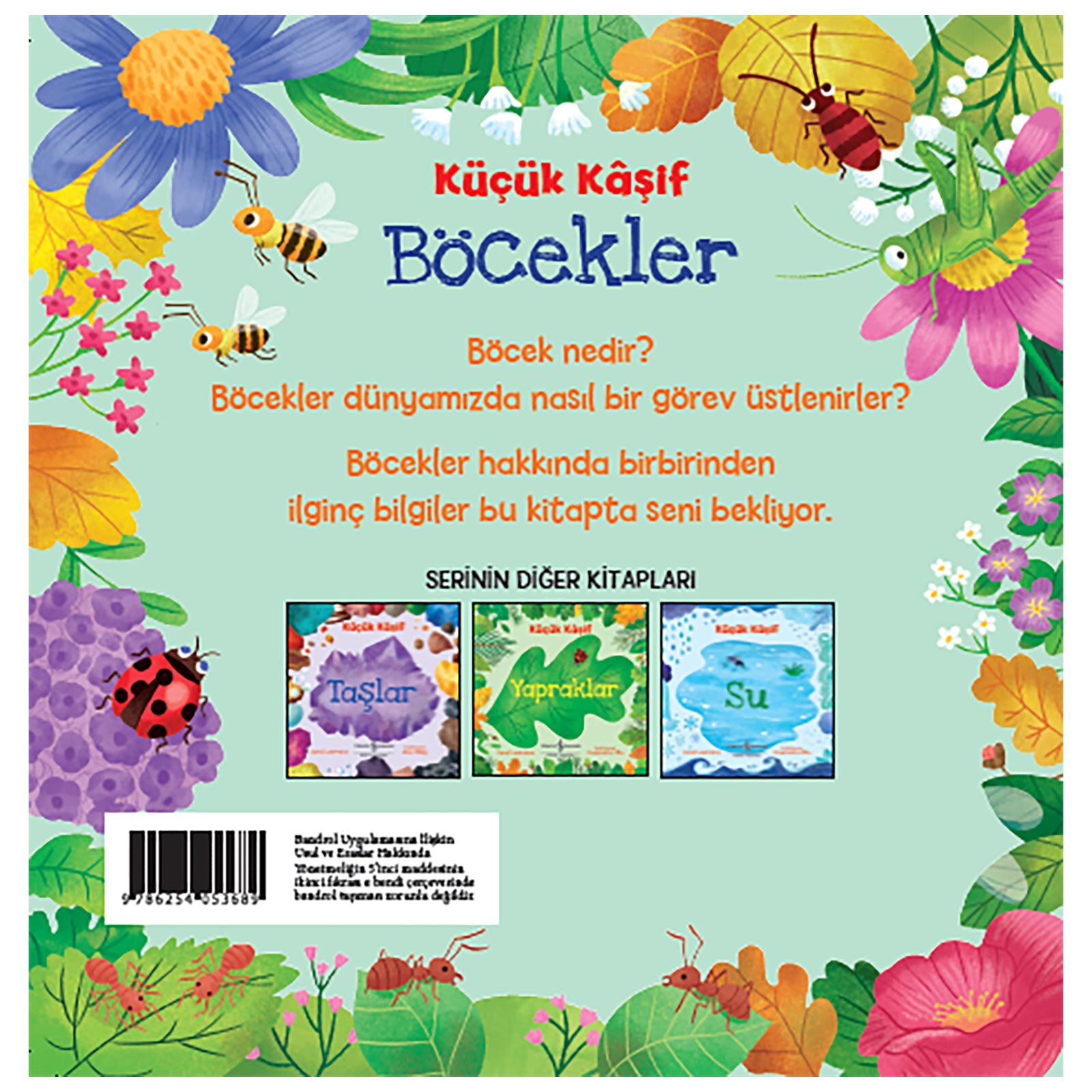 Küçük Kaşif- Böcekler Küçük Kaşif- Böcekler