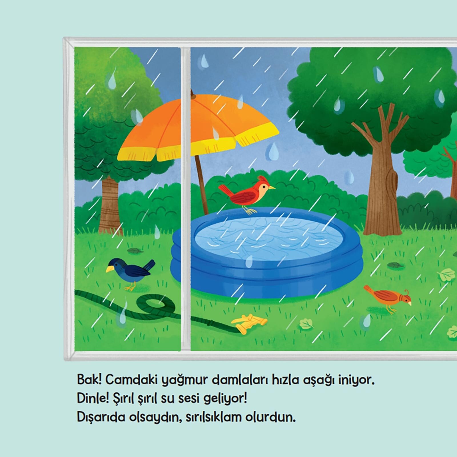 Küçük Kaşif - Su