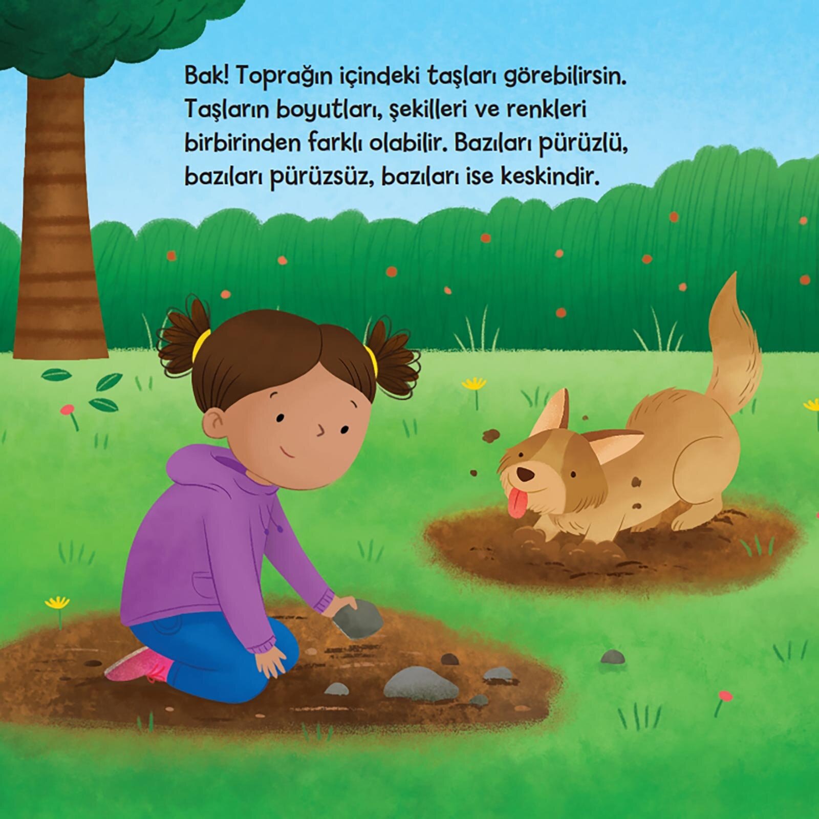 Küçük Kaşif - Taşlar