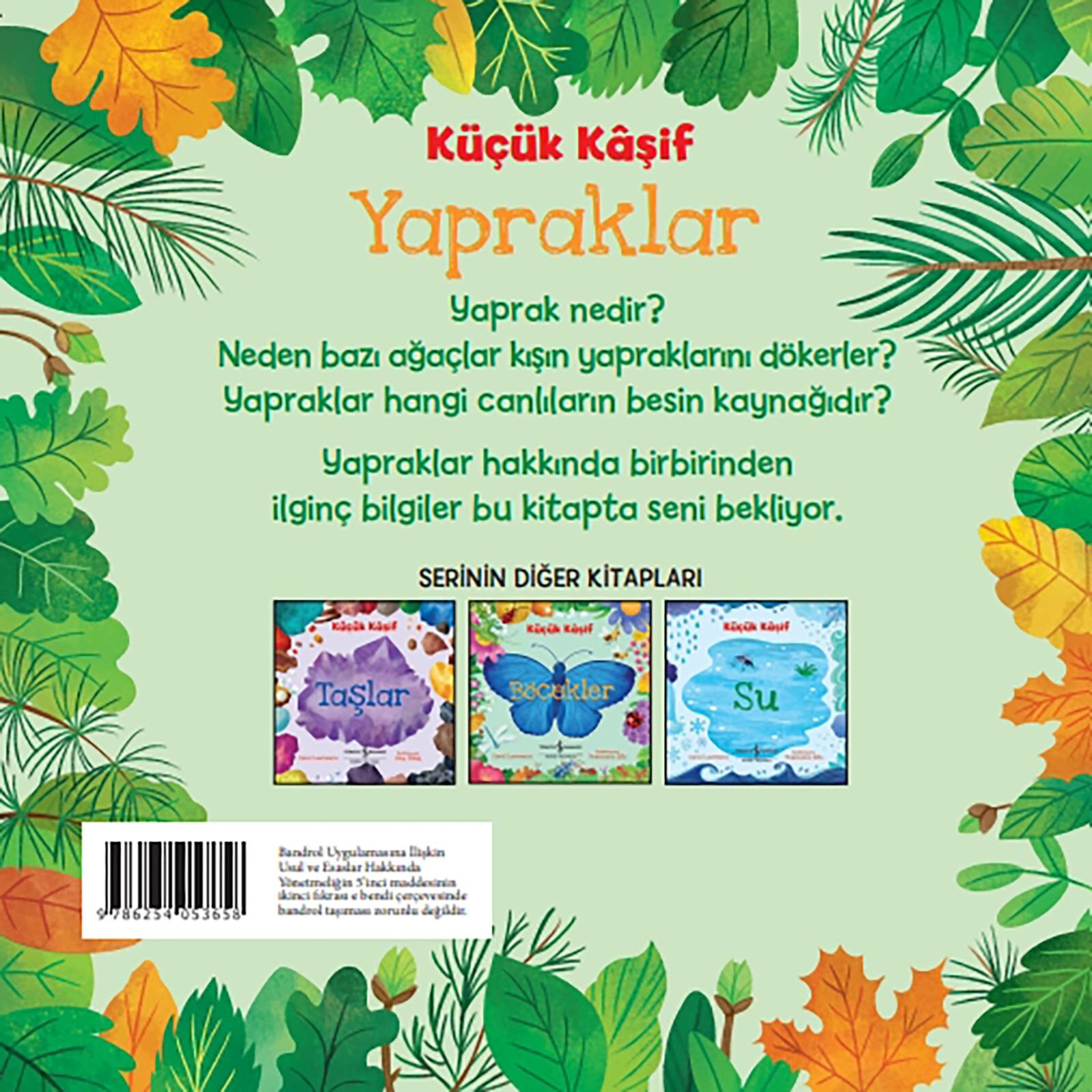 Küçük Kaşif - Yapraklar Küçük Kaşif - Yapraklar