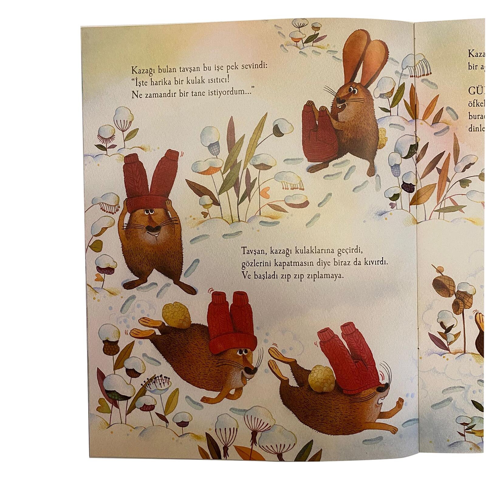 Küçük Kırmızı Kazak