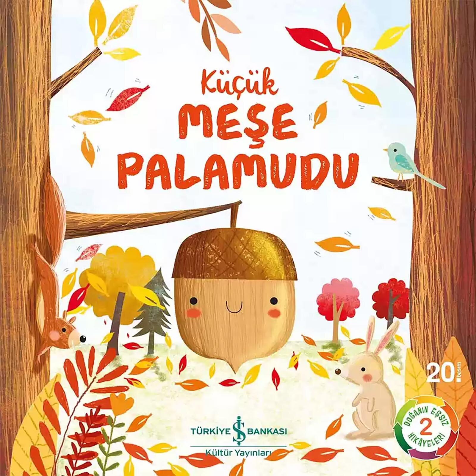 KÜÇÜK MEŞE PALAMUDU KÜÇÜK MEŞE PALAMUDU