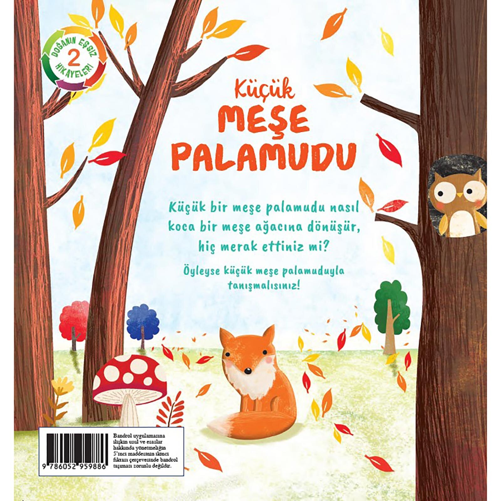 KÜÇÜK MEŞE PALAMUDU KÜÇÜK MEŞE PALAMUDU