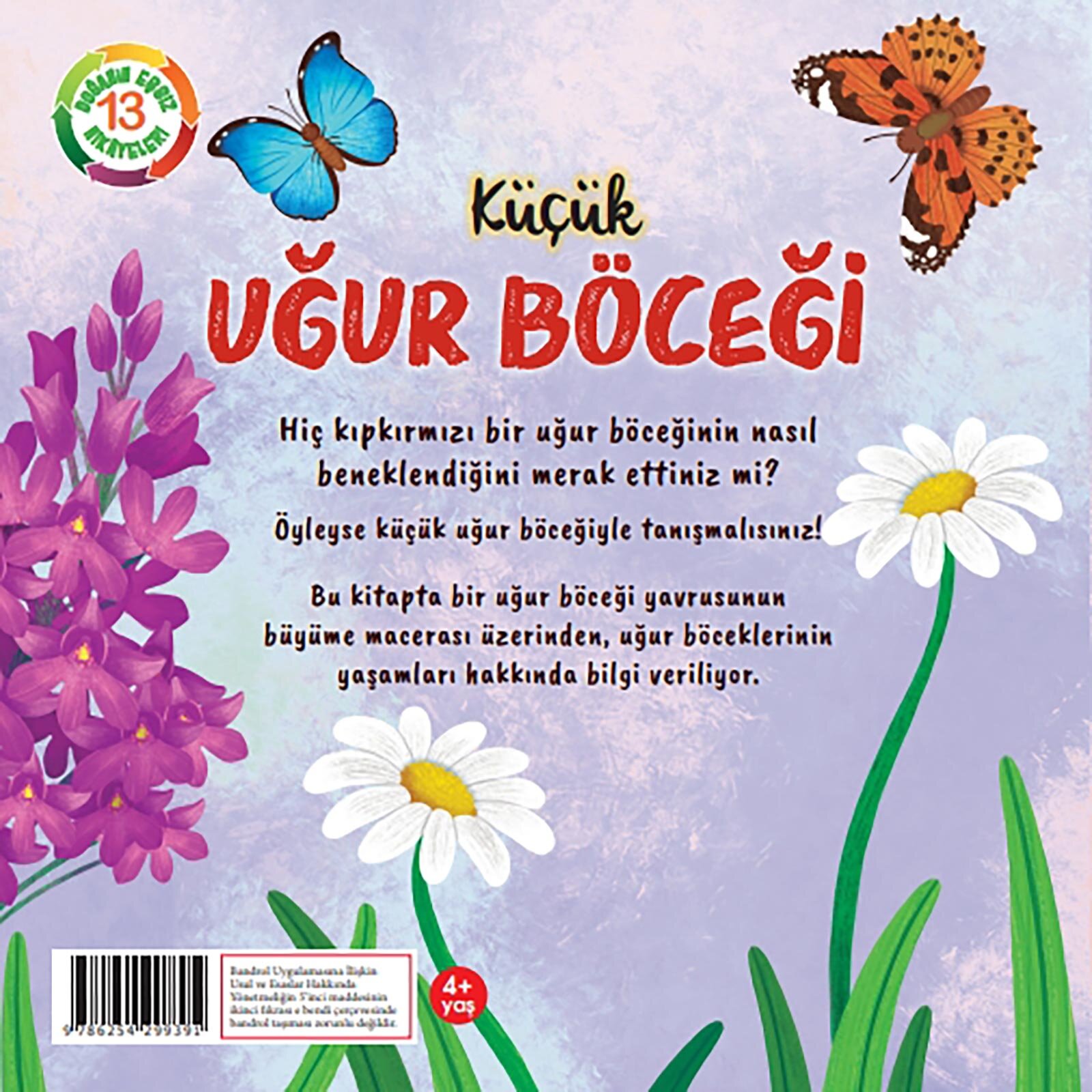 Küçük Uğur Böceği