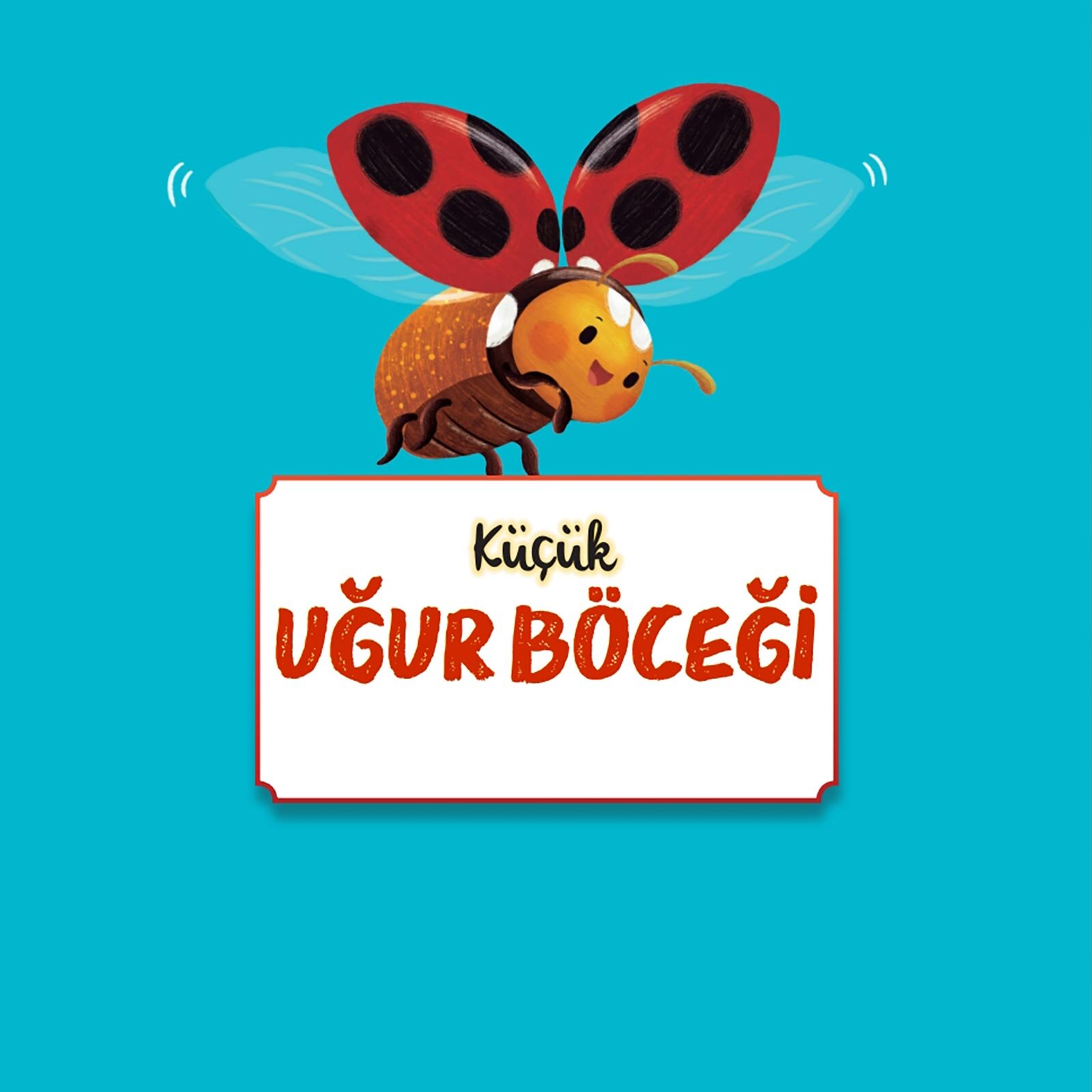 Küçük Uğur Böceği