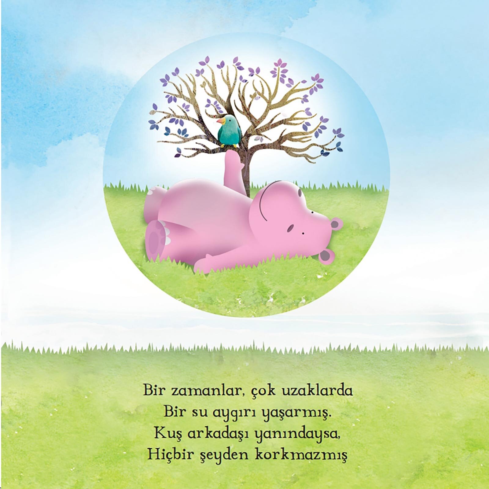 Kuş ve Su Aygırı Kuş ve Su Aygırı