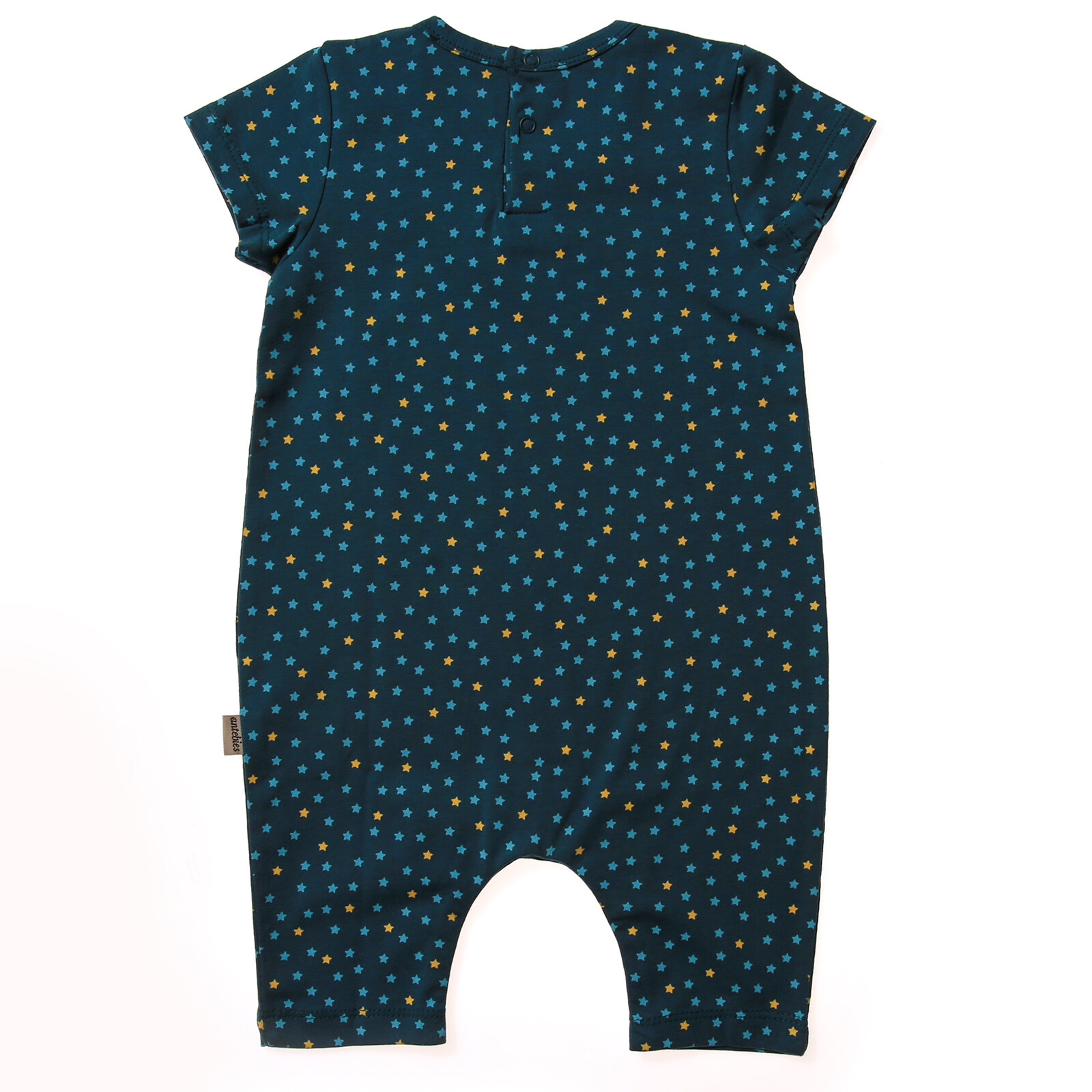 Lacivert Yıldız Barbatöz