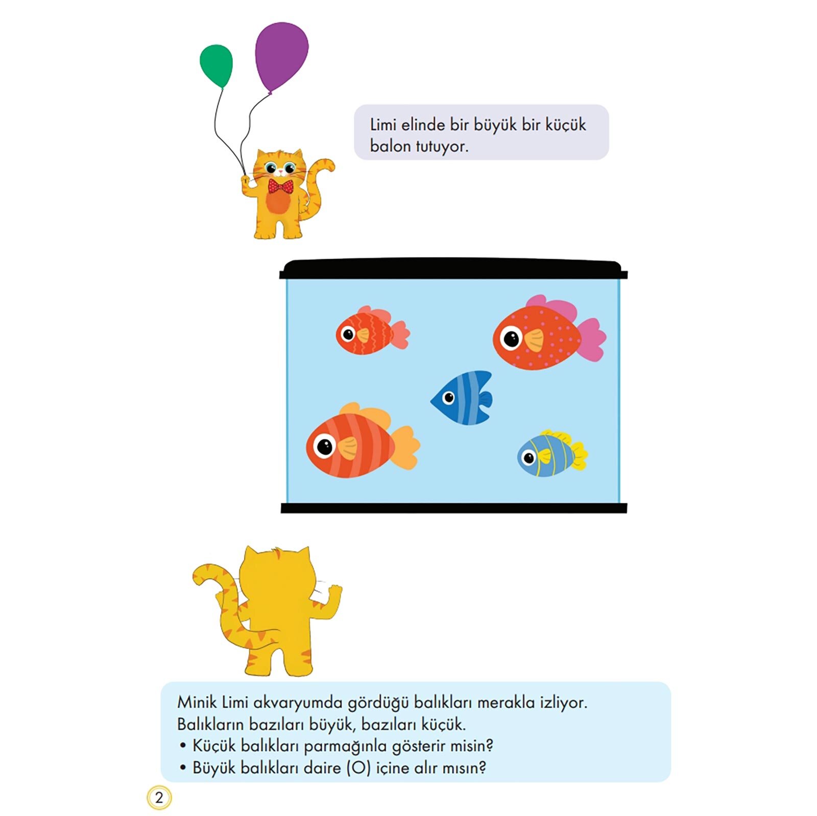 Limi - Kavramların Peşinde