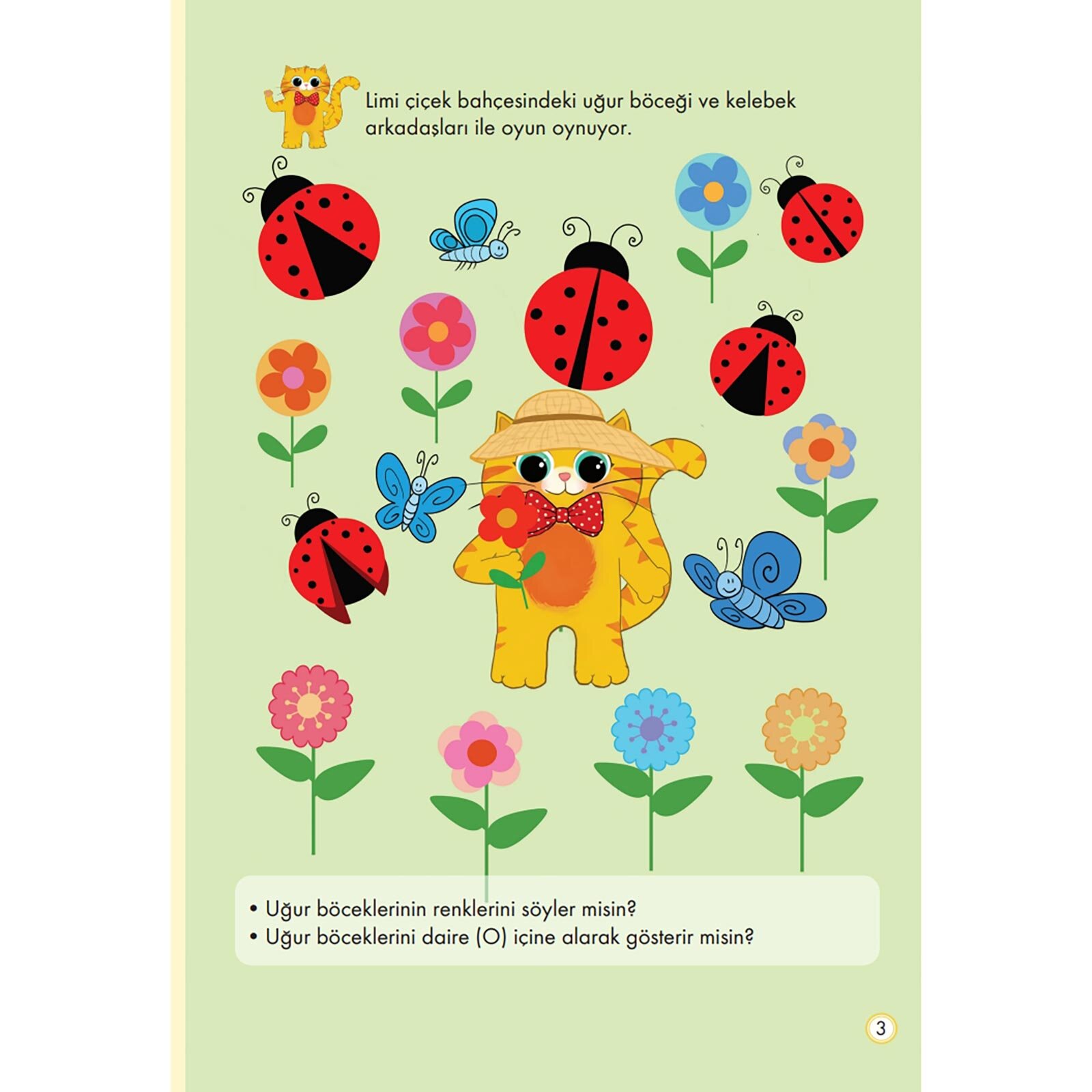 Limi - Renkleri Kovalıyor Şekilleri Yakalıyor