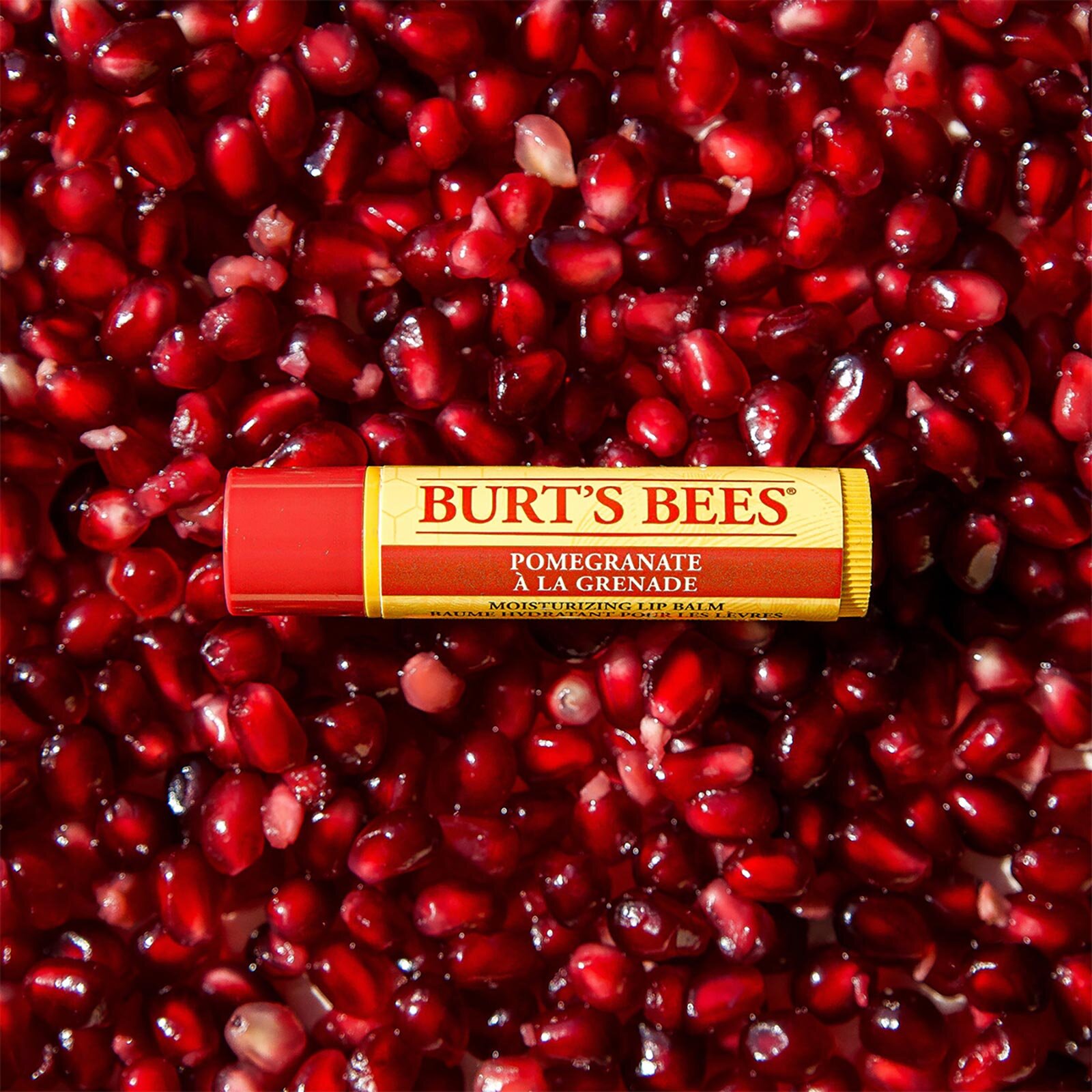 Lip Balm Blister Dudak Nemlendiricisi Nar Lip Balm Blister Dudak Nemlendiricisi Nar